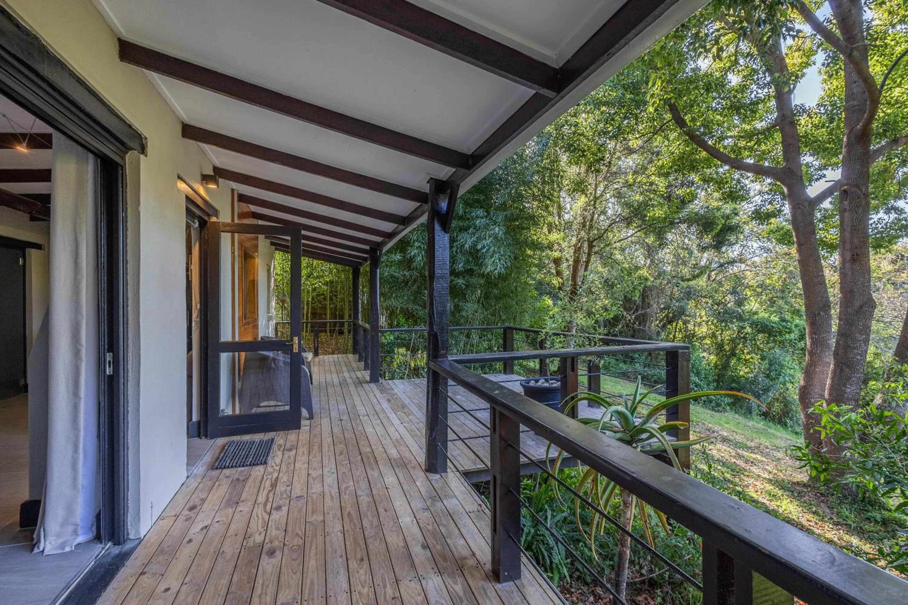 Natural landscape in Hog Hollow Country Lodge