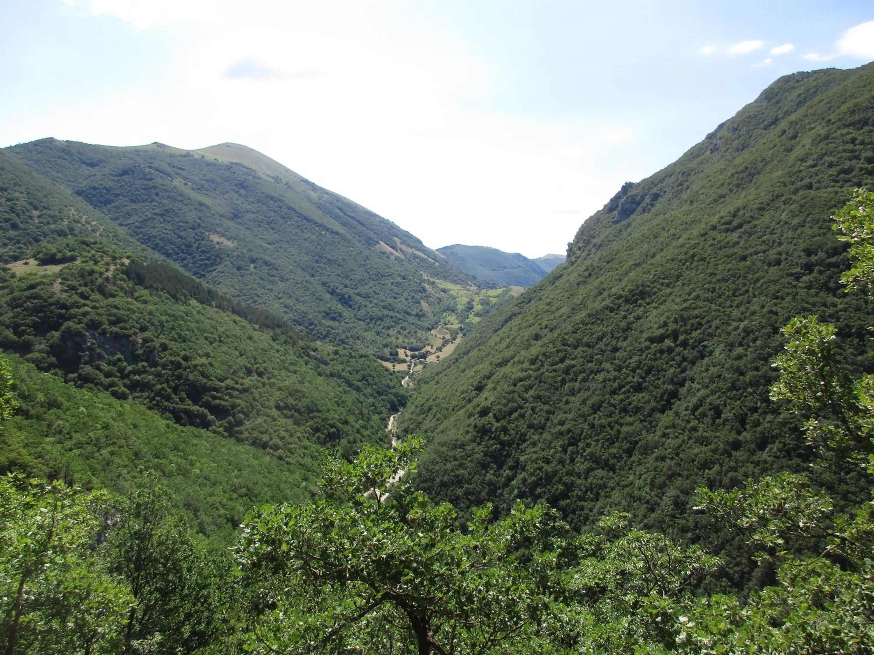 Natural landscape in Hotel Garnì Mille Pini