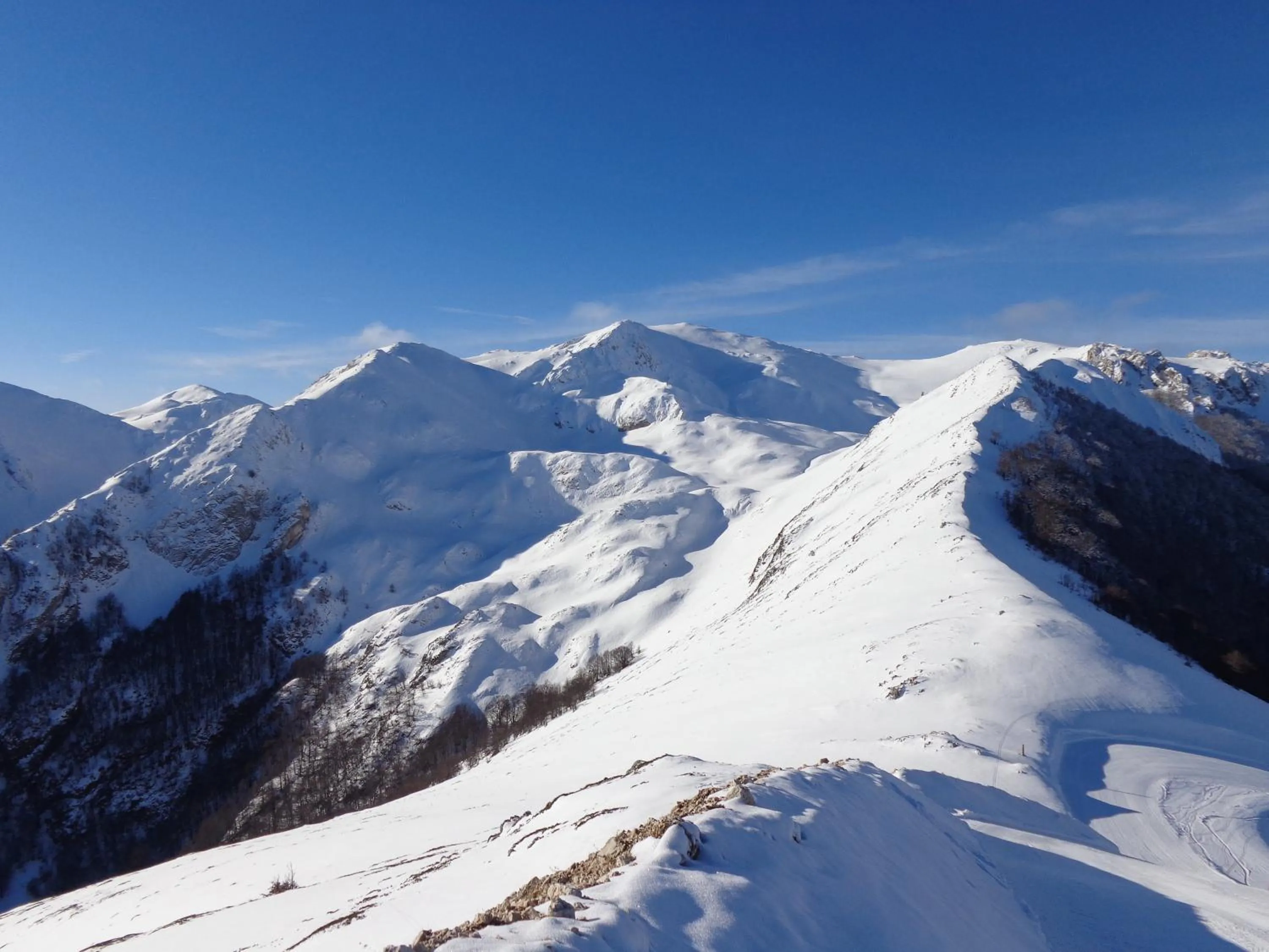 Natural landscape in Hotel Garnì Mille Pini