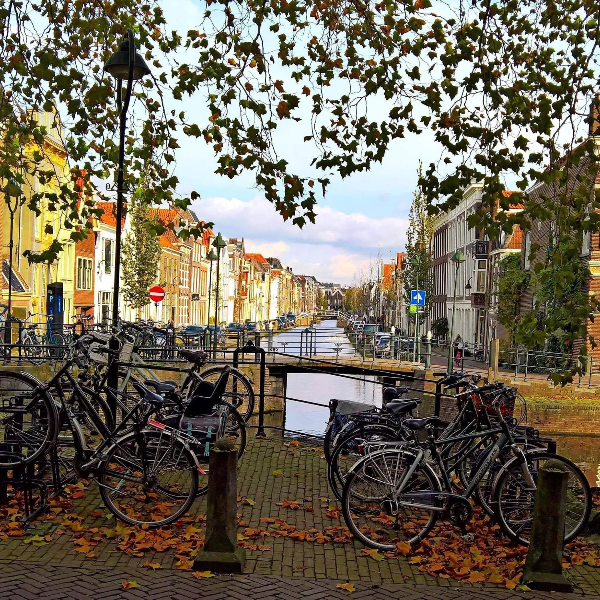 Quiet street view in Apple Tree Cottage - charming home at beautiful canal in our idyllic garden
