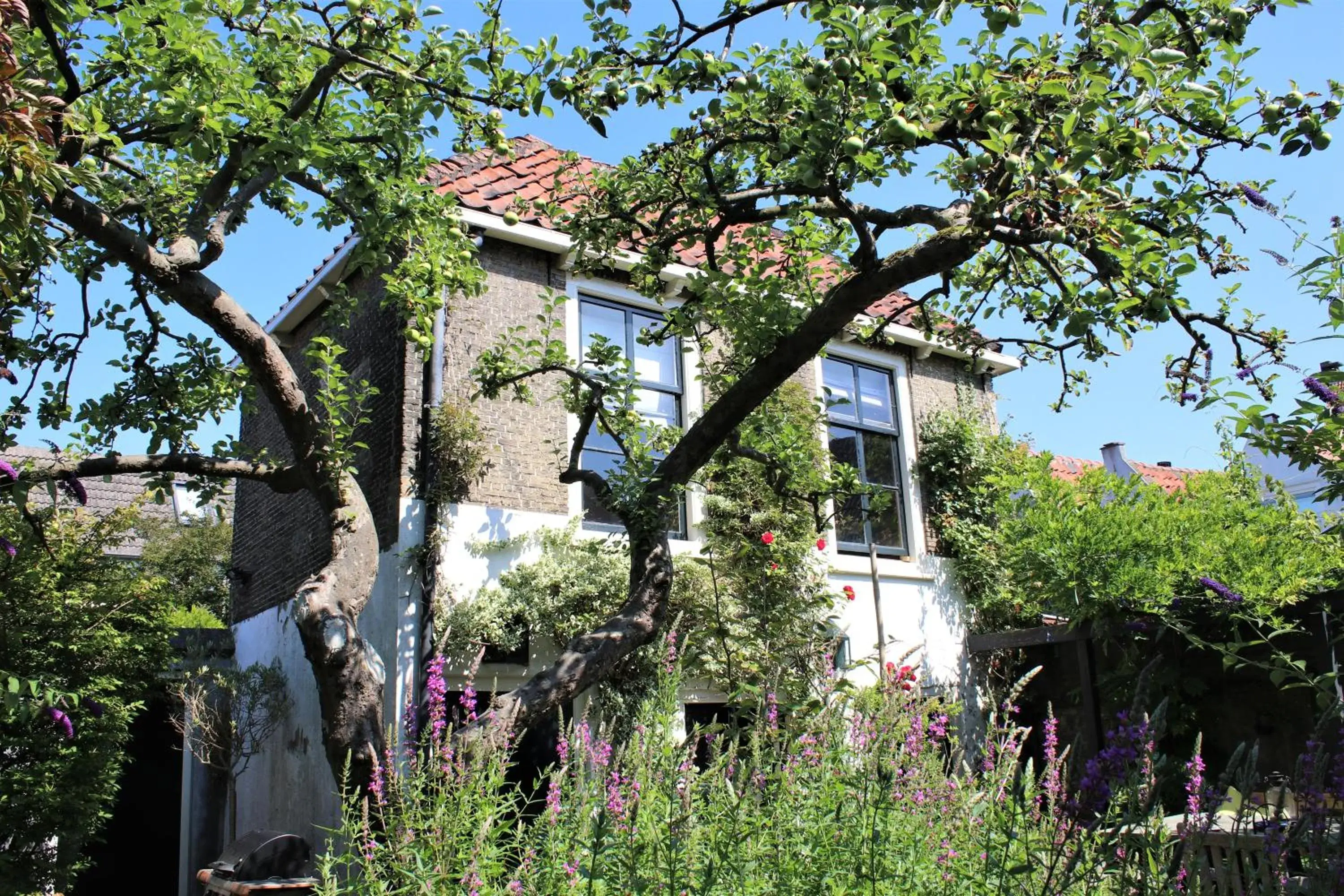 Apple Tree Cottage - charming home at beautiful canal in our idyllic garden Apple Tree Cottage - charming home at beautiful canal in our idyllic garden