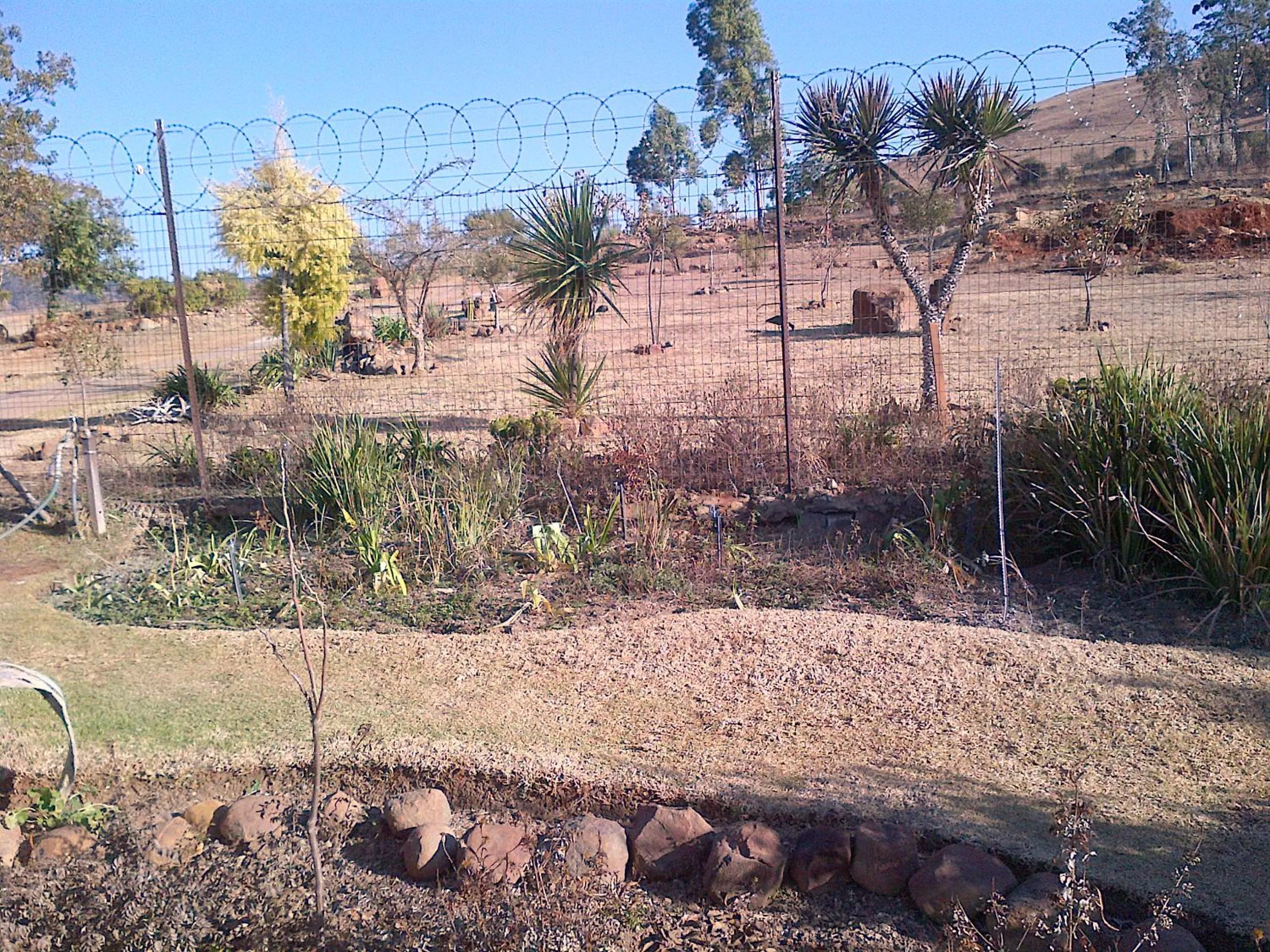 Garden in Acra-Retreat Mountain View Lodge