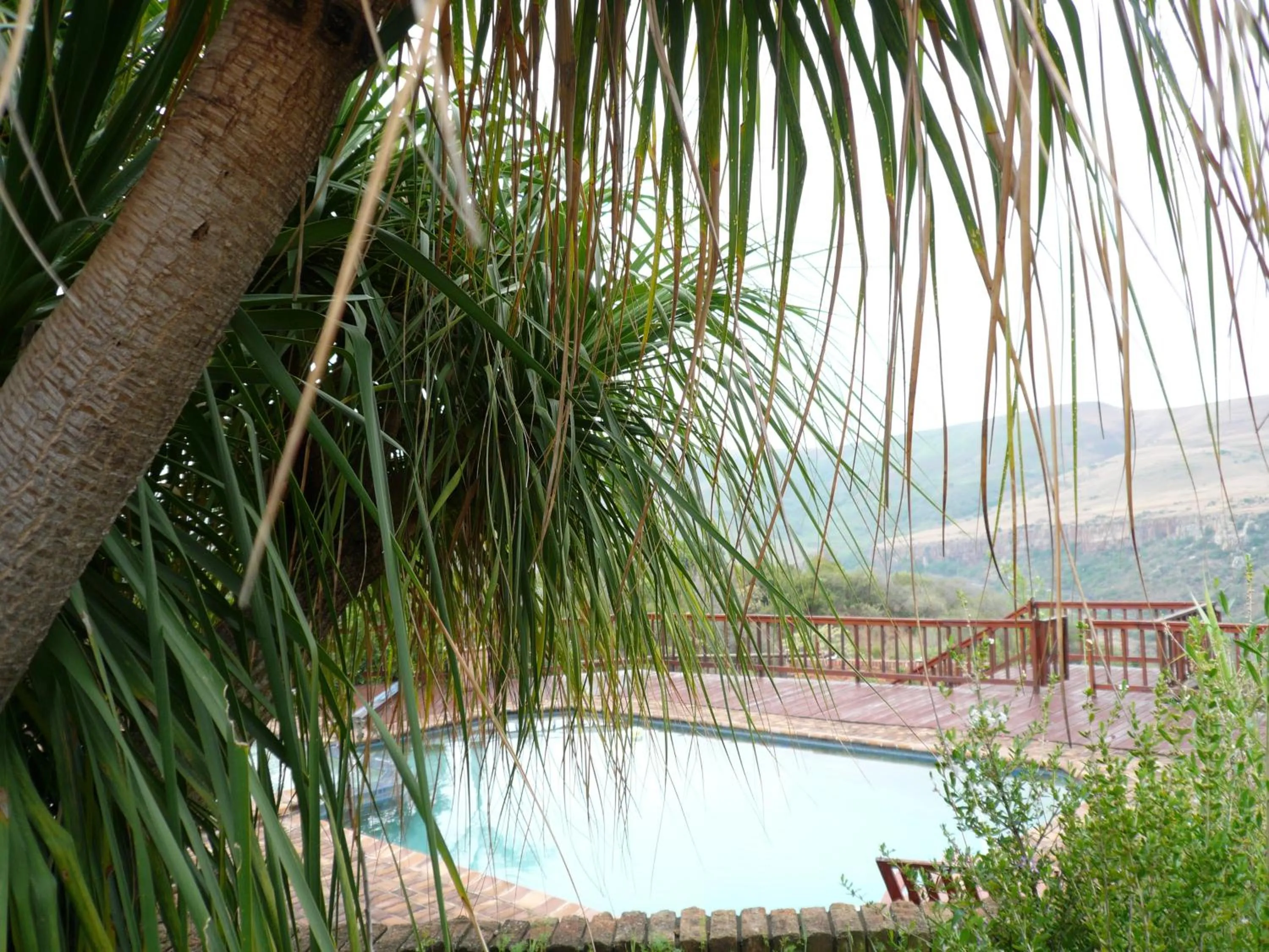 Swimming pool in Acra-Retreat Mountain View Lodge