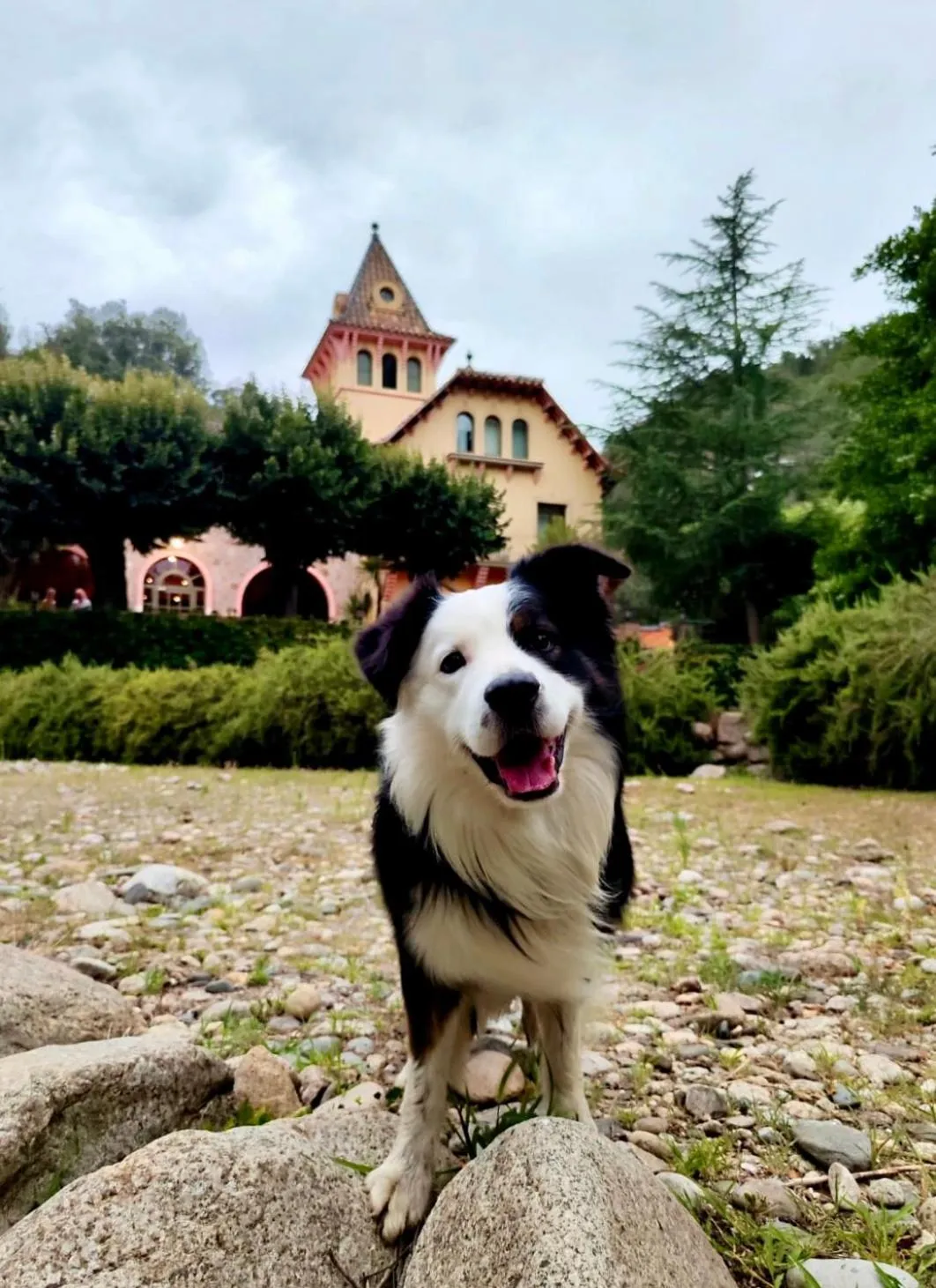 Property building in Hotel Spa La Central - Adults Only