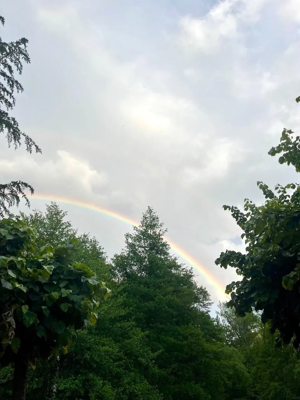 Property building in Hotel Spa La Central - Adults Only