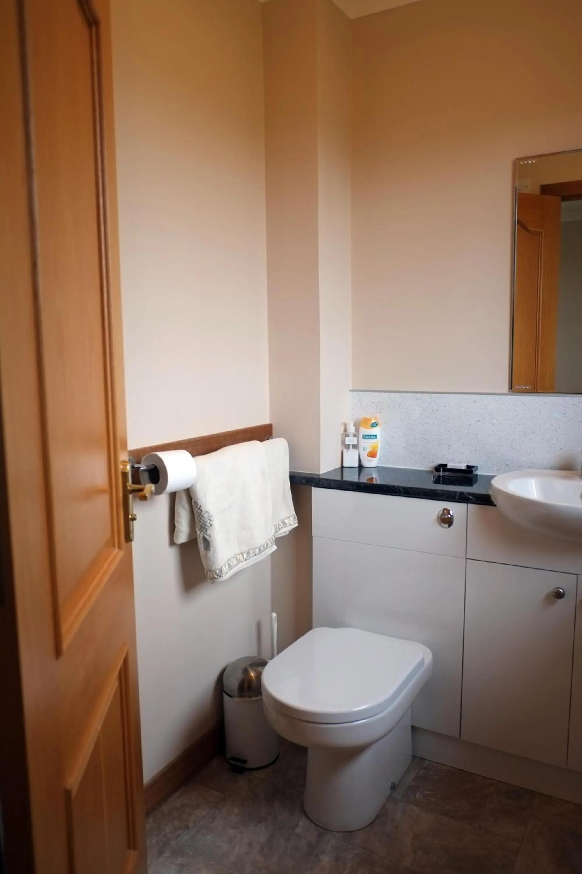 Bathroom in House on the Falls