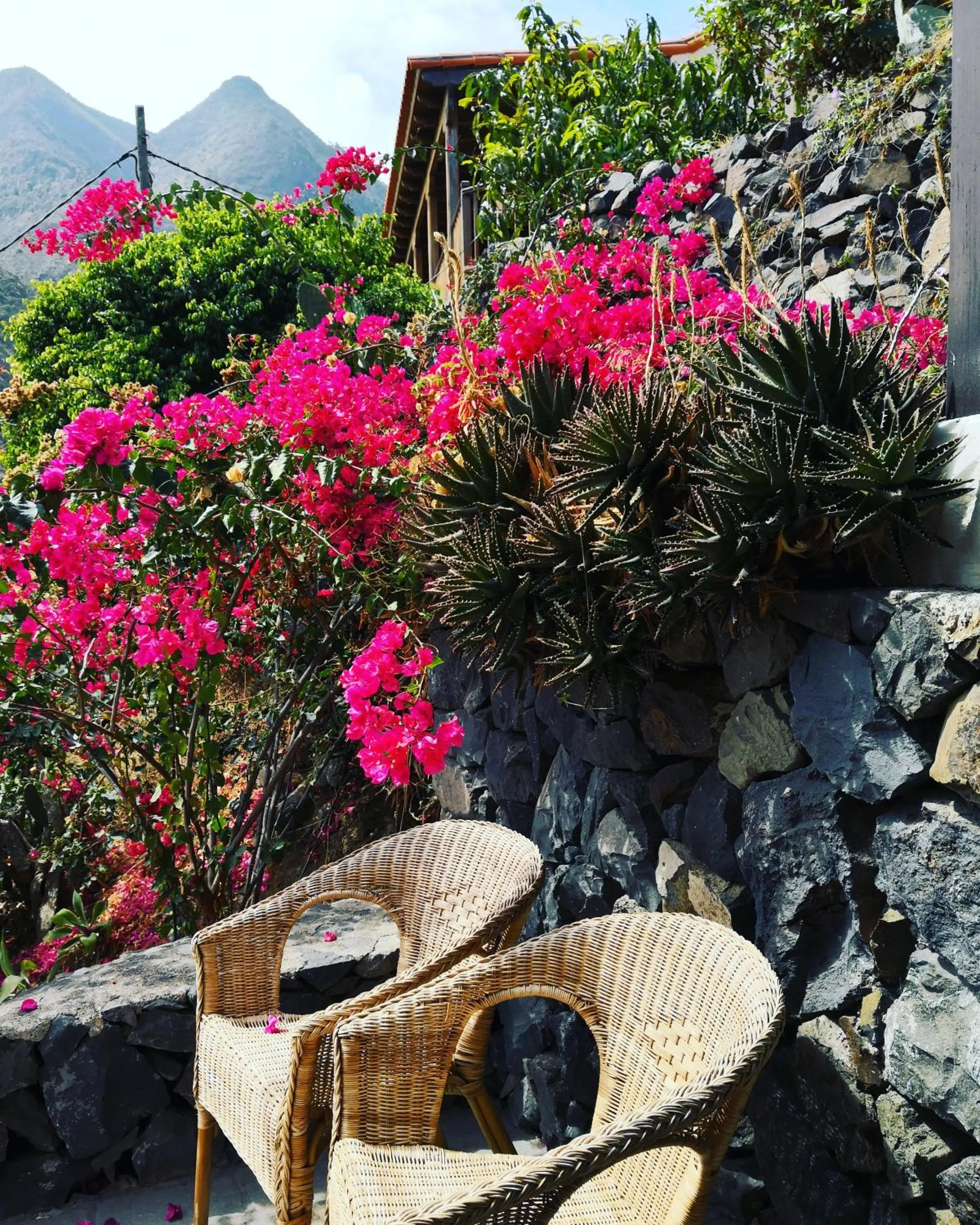 Garden in Hotel Rural Ibo Alfaro - OFFLINE HOTEL