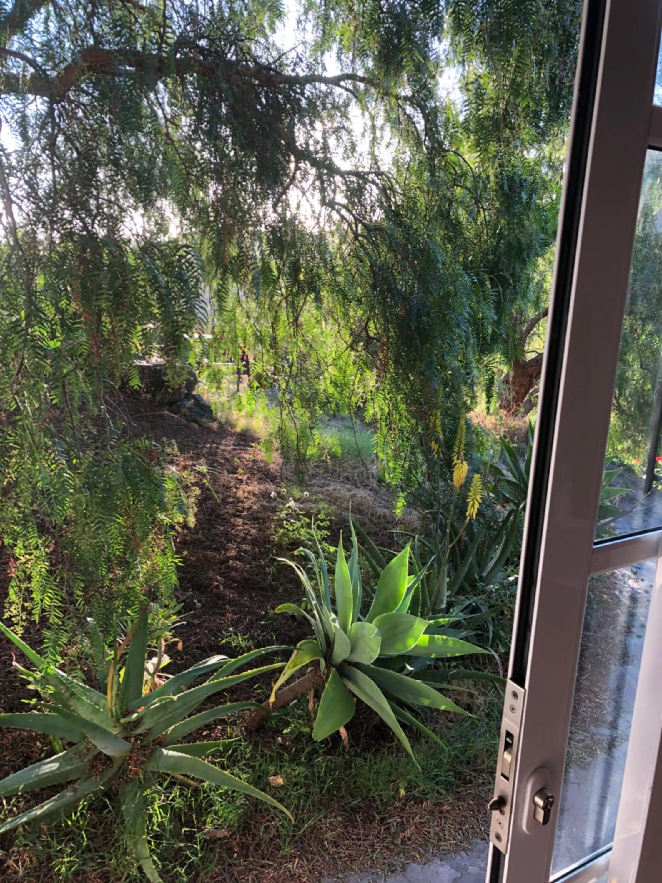 Garden in Hotel Rural Ibo Alfaro - OFFLINE HOTEL