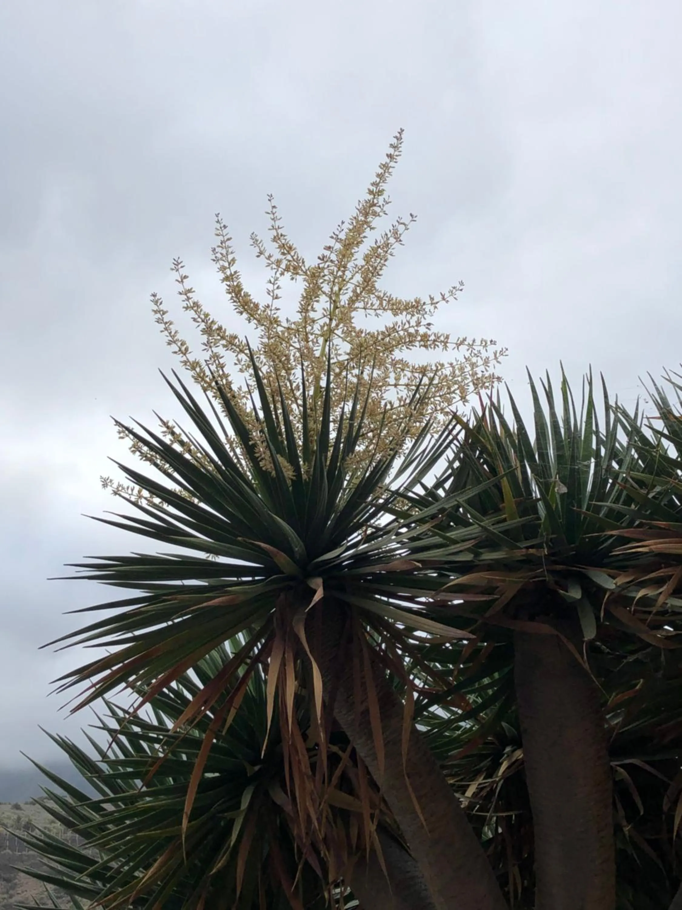 Patio in Hotel Rural Ibo Alfaro - OFFLINE HOTEL