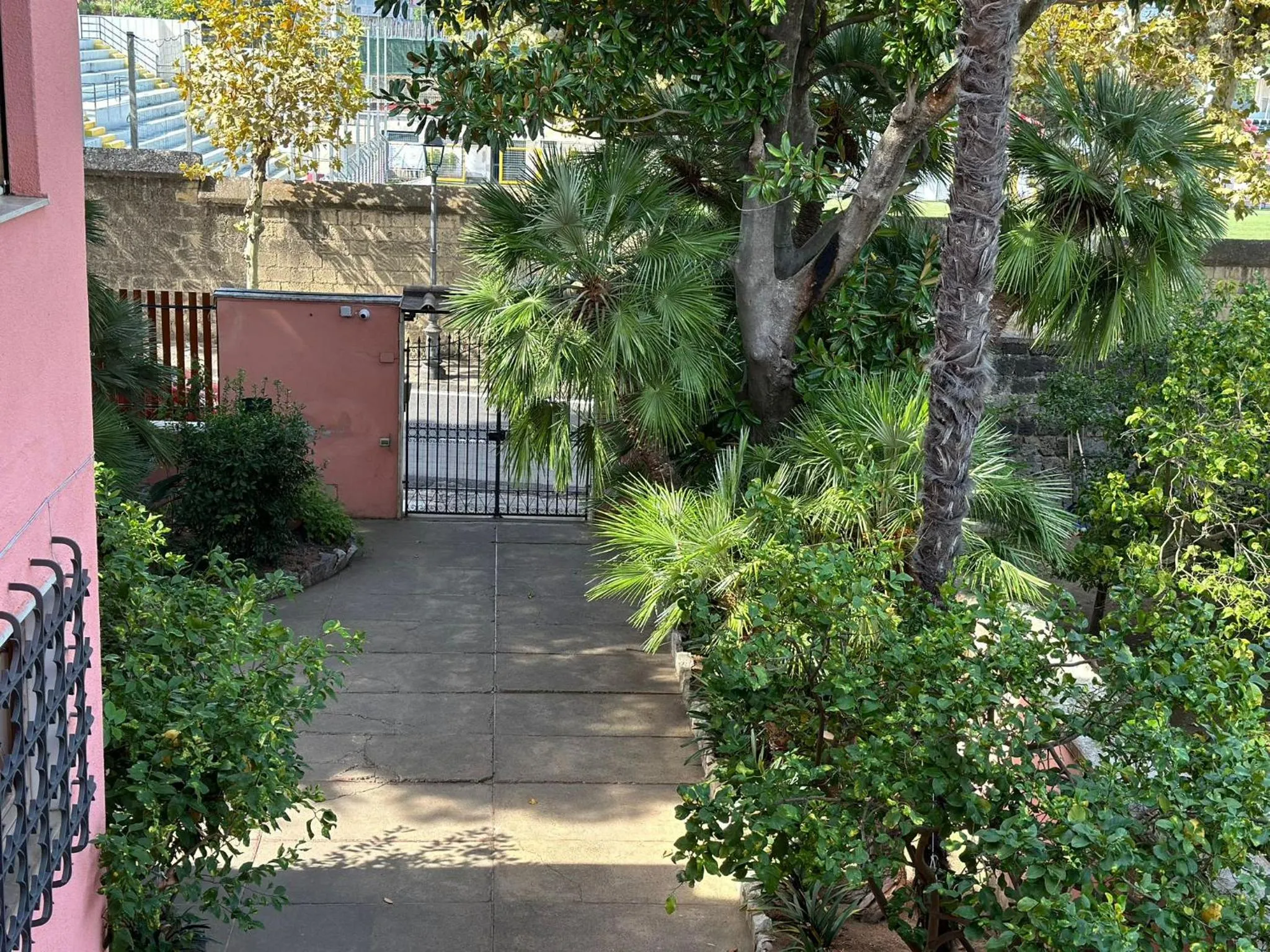 Garden view in Villa Rosa Sorrento