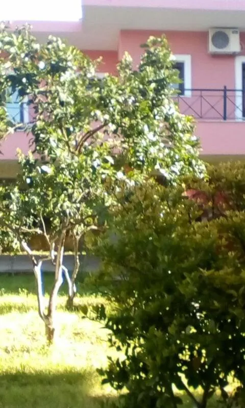 Garden in Gouvia House Luxury Apartments