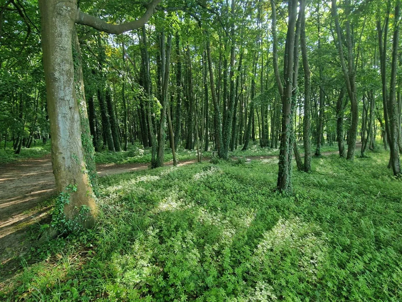 Ośrodek Promenada- Faleza