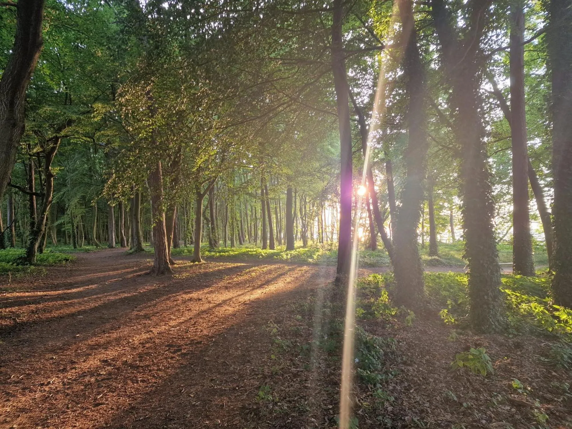 Ośrodek Promenada- Faleza