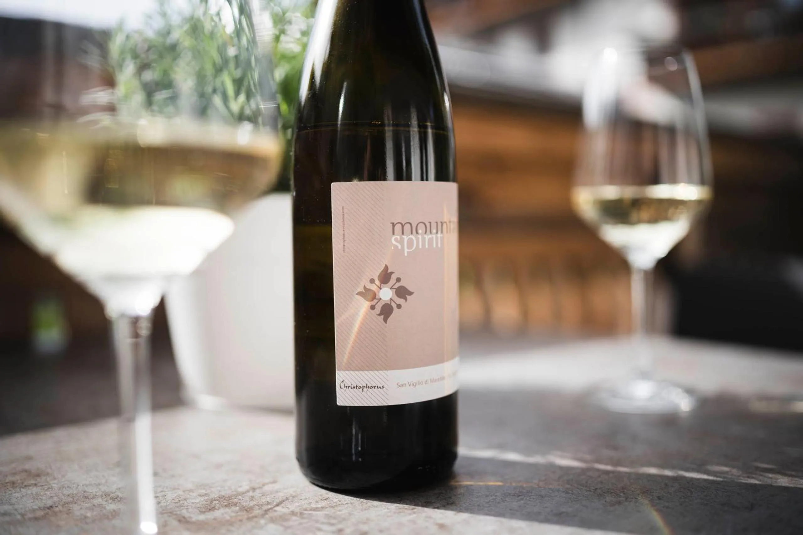 Alcoholic drinks in Christophorus Mountain Residence