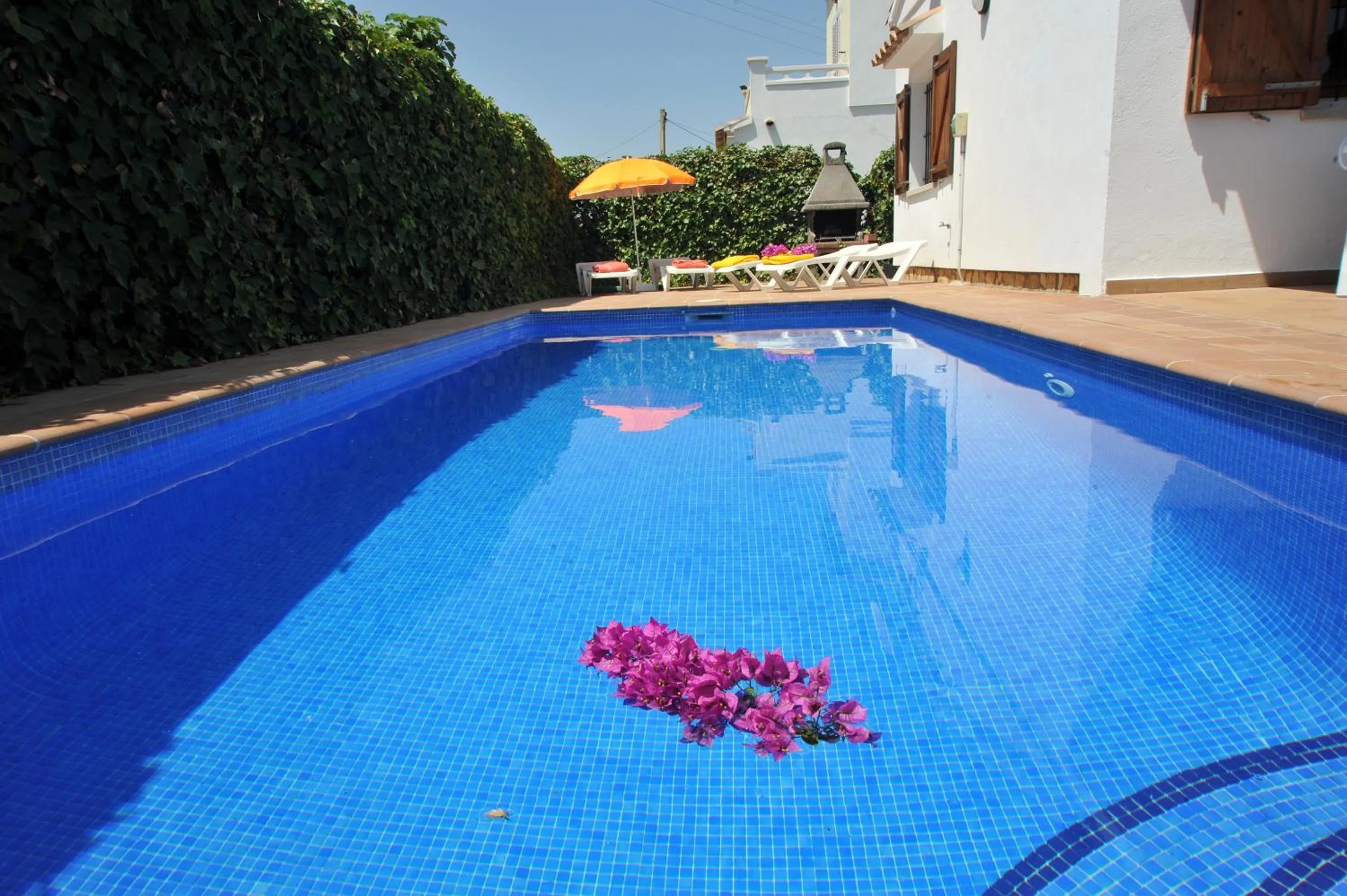 Swimming pool in Estepa negra