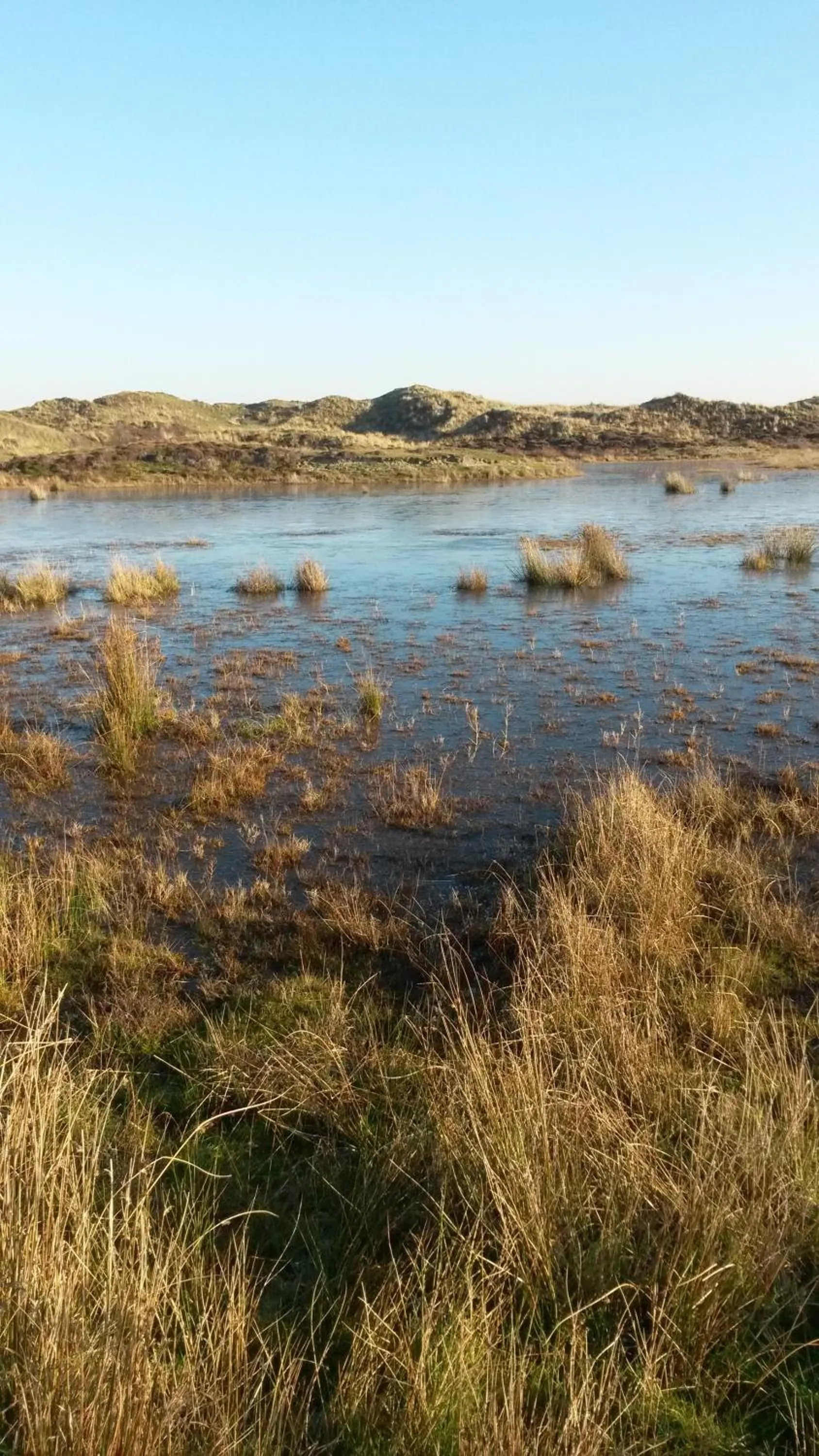 Natural landscape in B&B Marijke