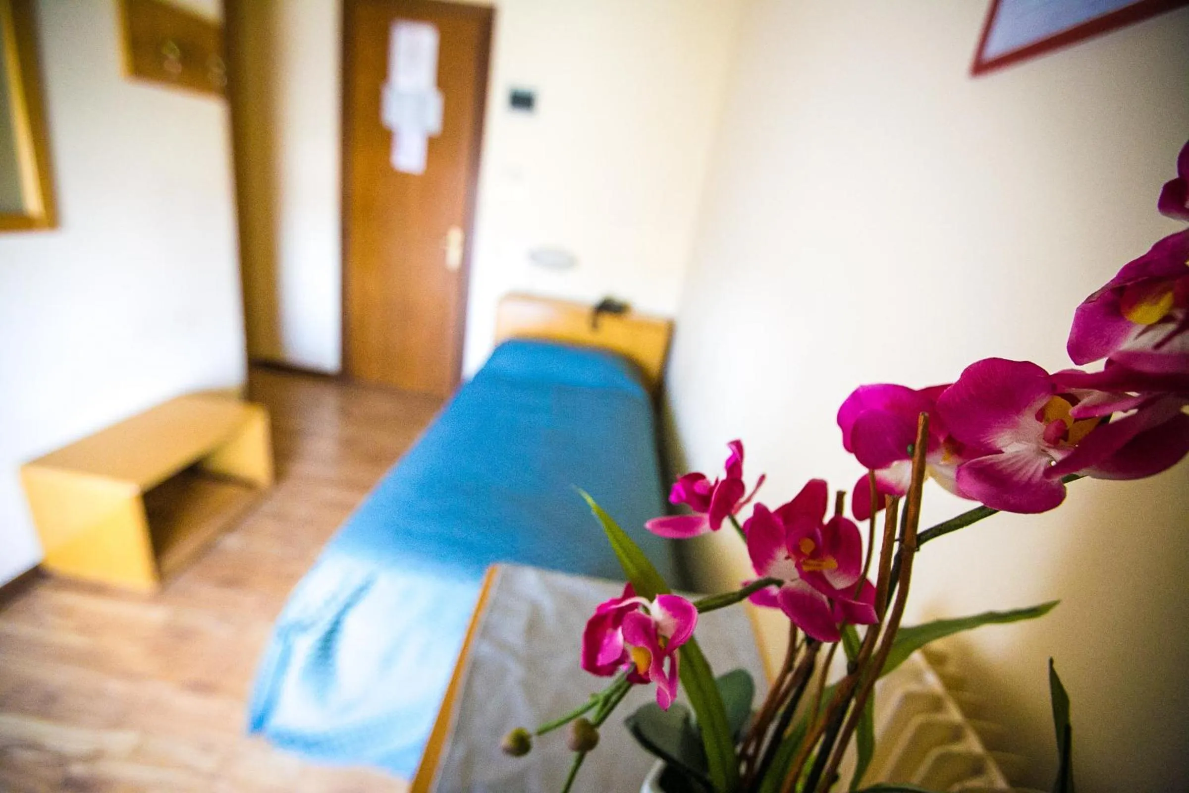 Photo of the whole room in Hotel Agli Olmi