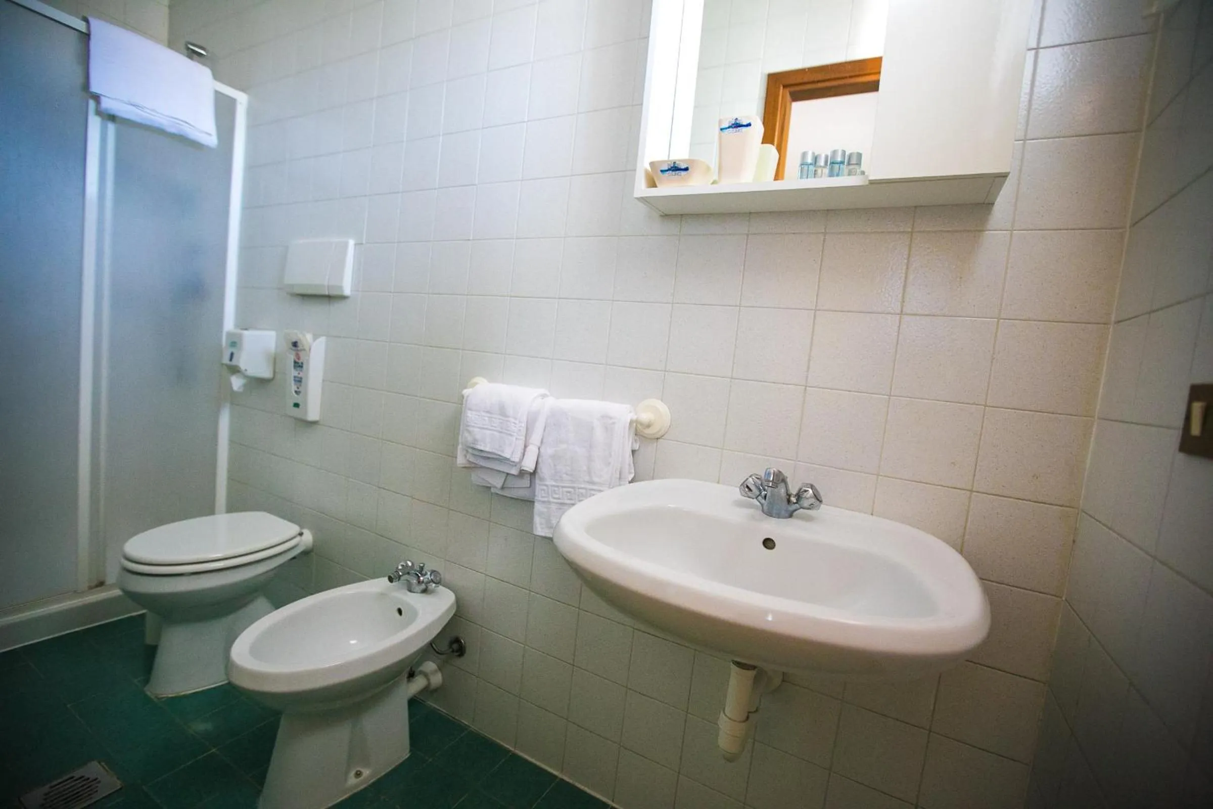 Bathroom in Hotel Agli Olmi