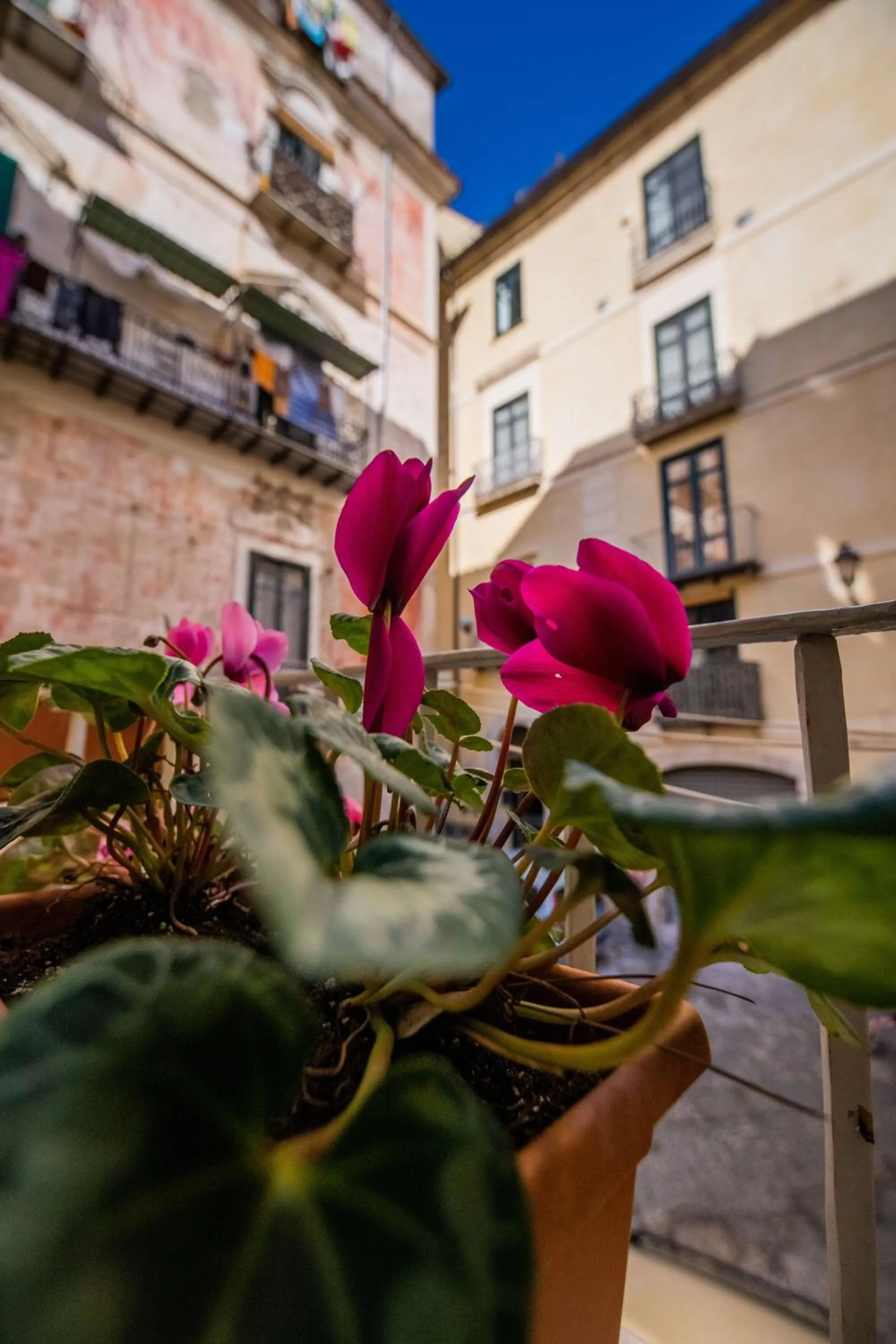 Balcony/Terrace in Terre Dipinte