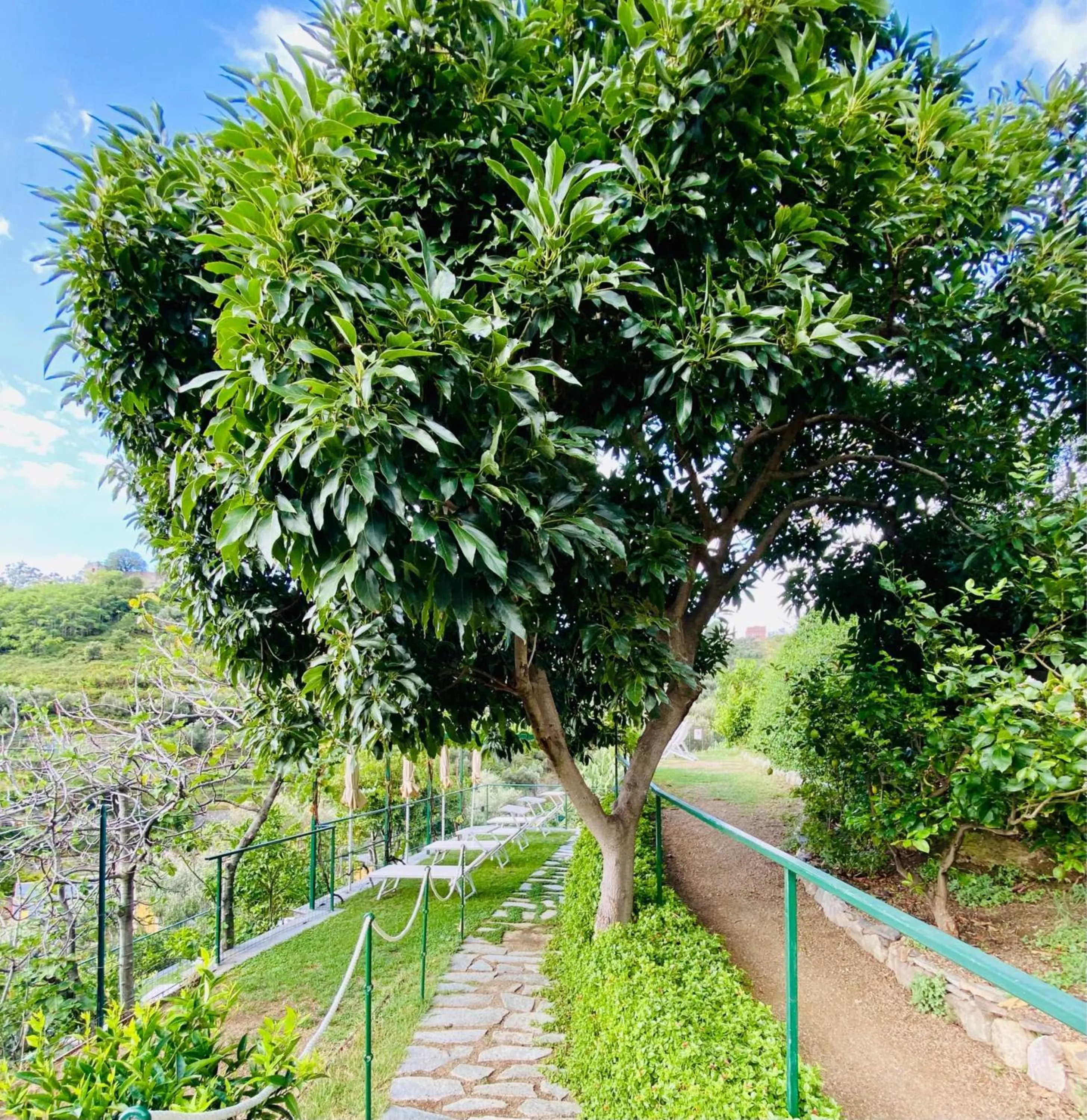 Garden in Albergo Degli Amici
