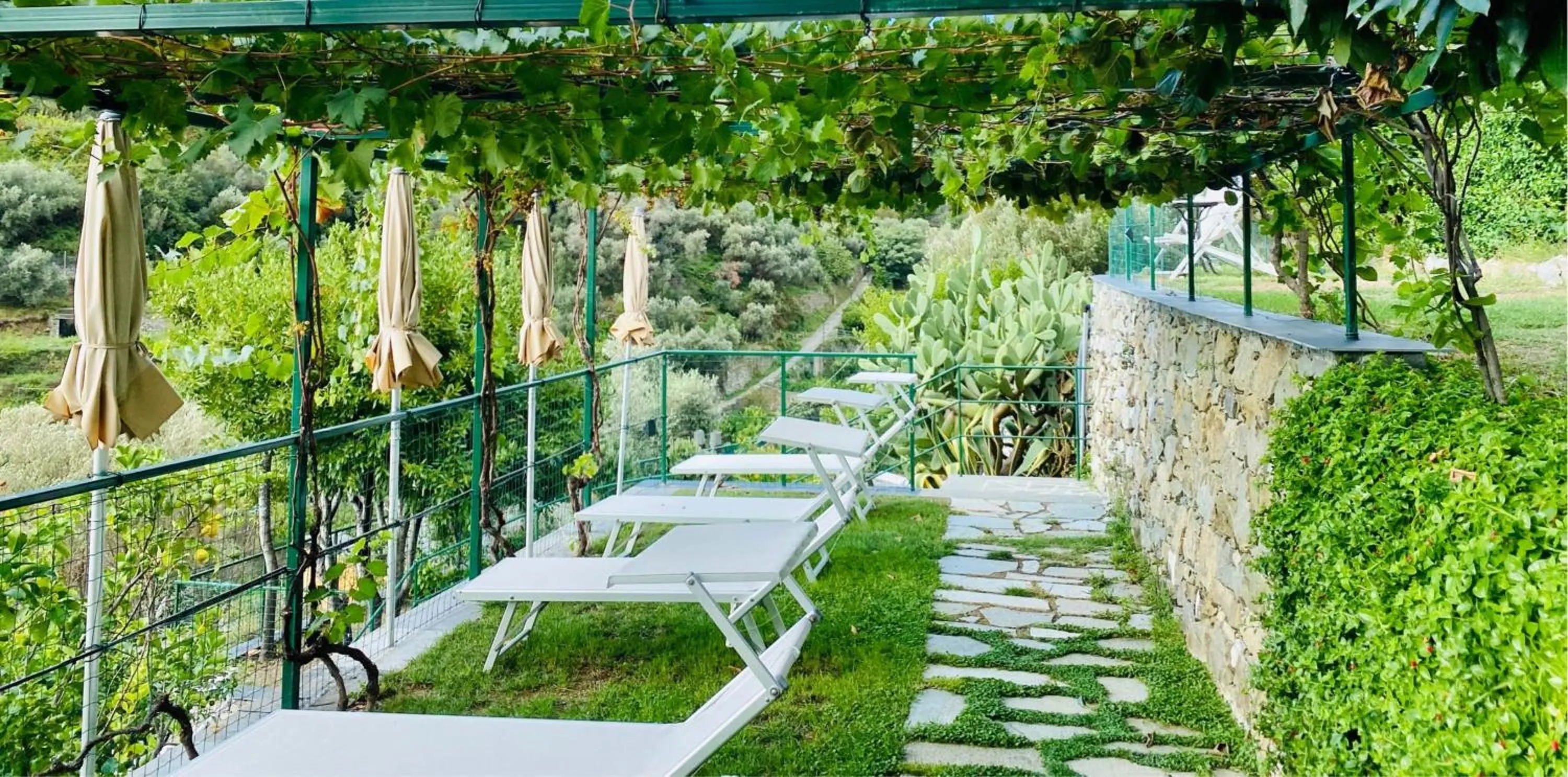 Garden in Albergo Degli Amici