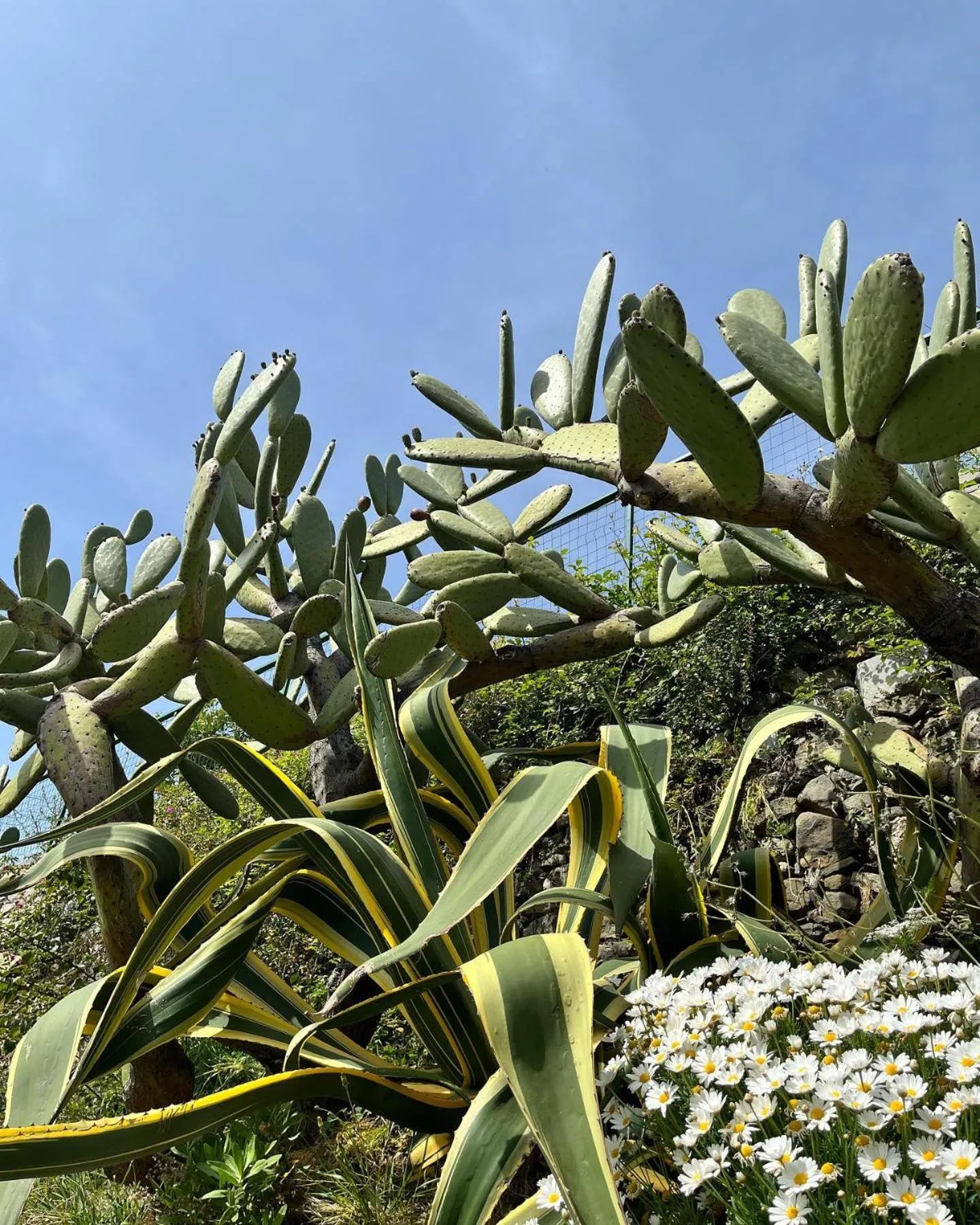 Natural landscape in Albergo Degli Amici