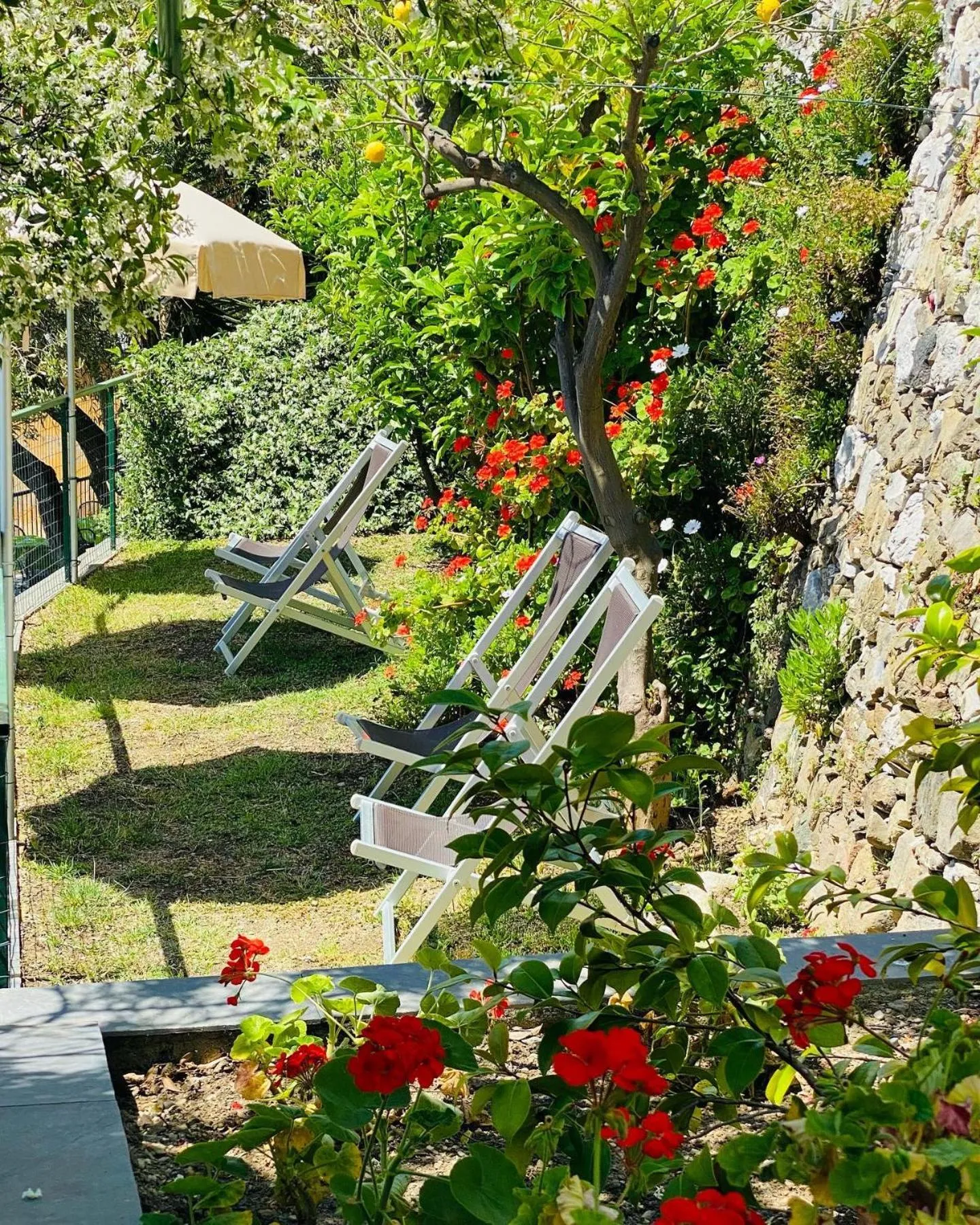 Garden in Albergo Degli Amici