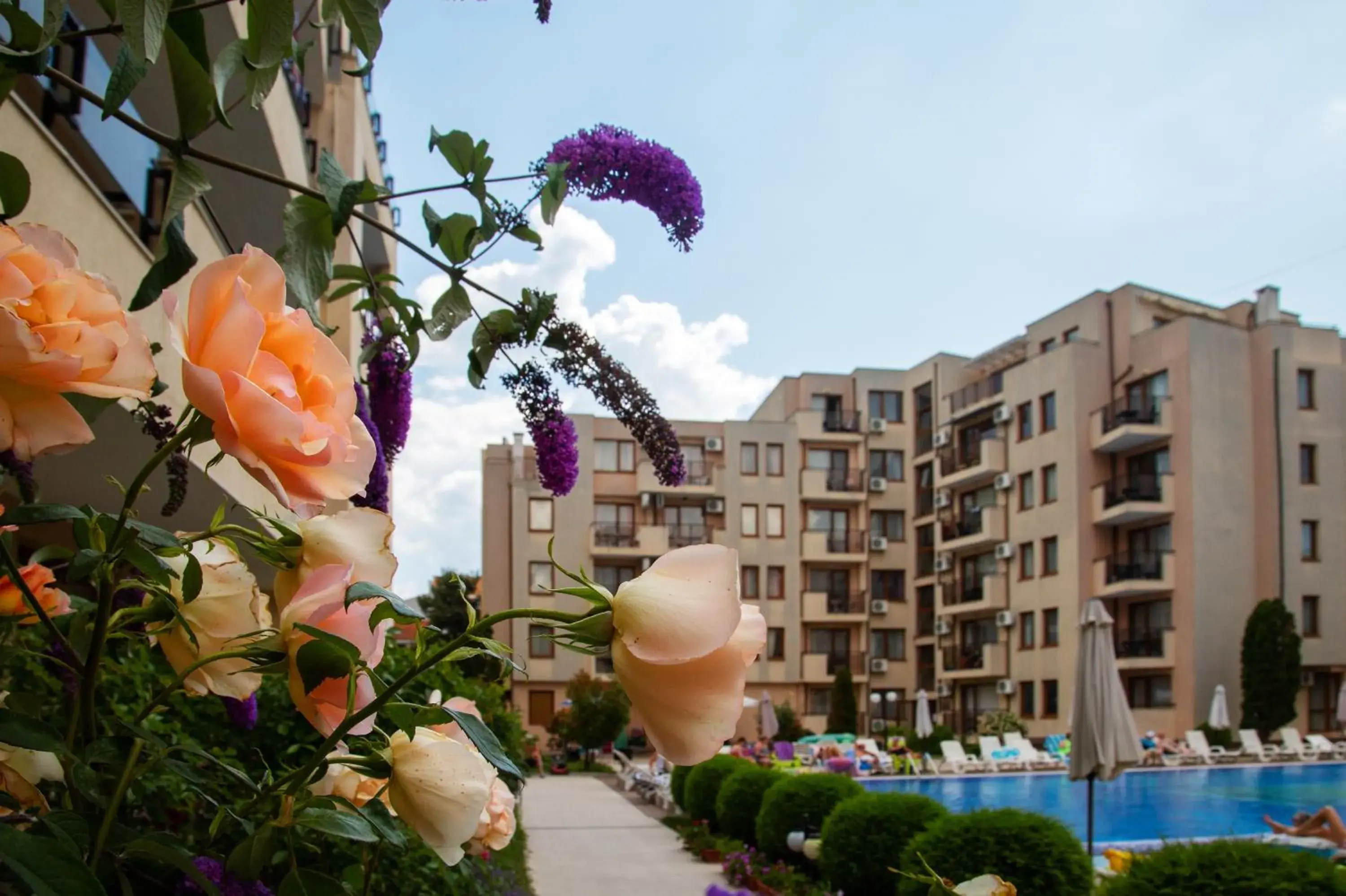 Swimming pool in TSB Sunny Victory Swimming pool in TSB Sunny Victory