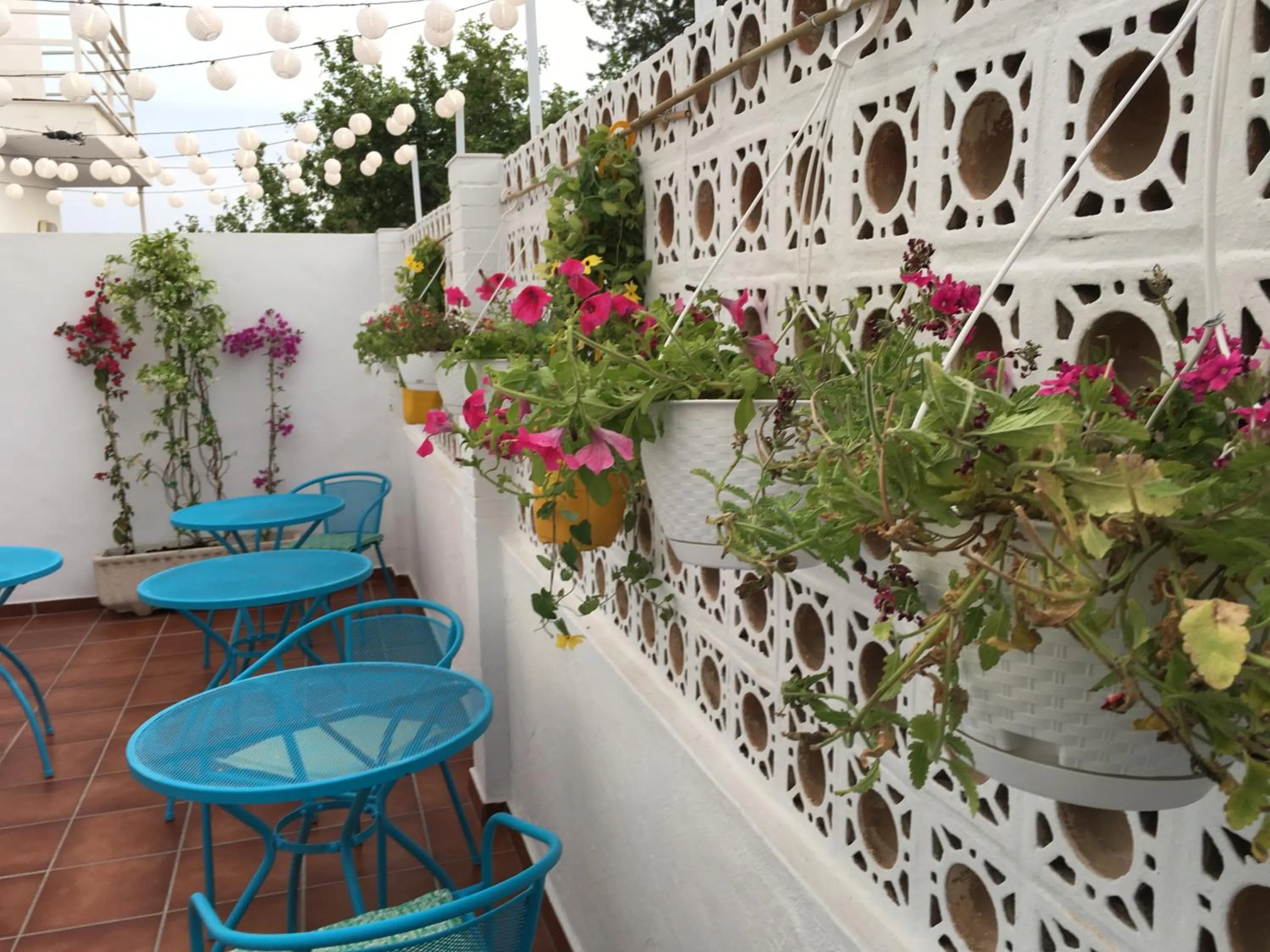 Patio in La Moraga de Poniente Malaga Hostel