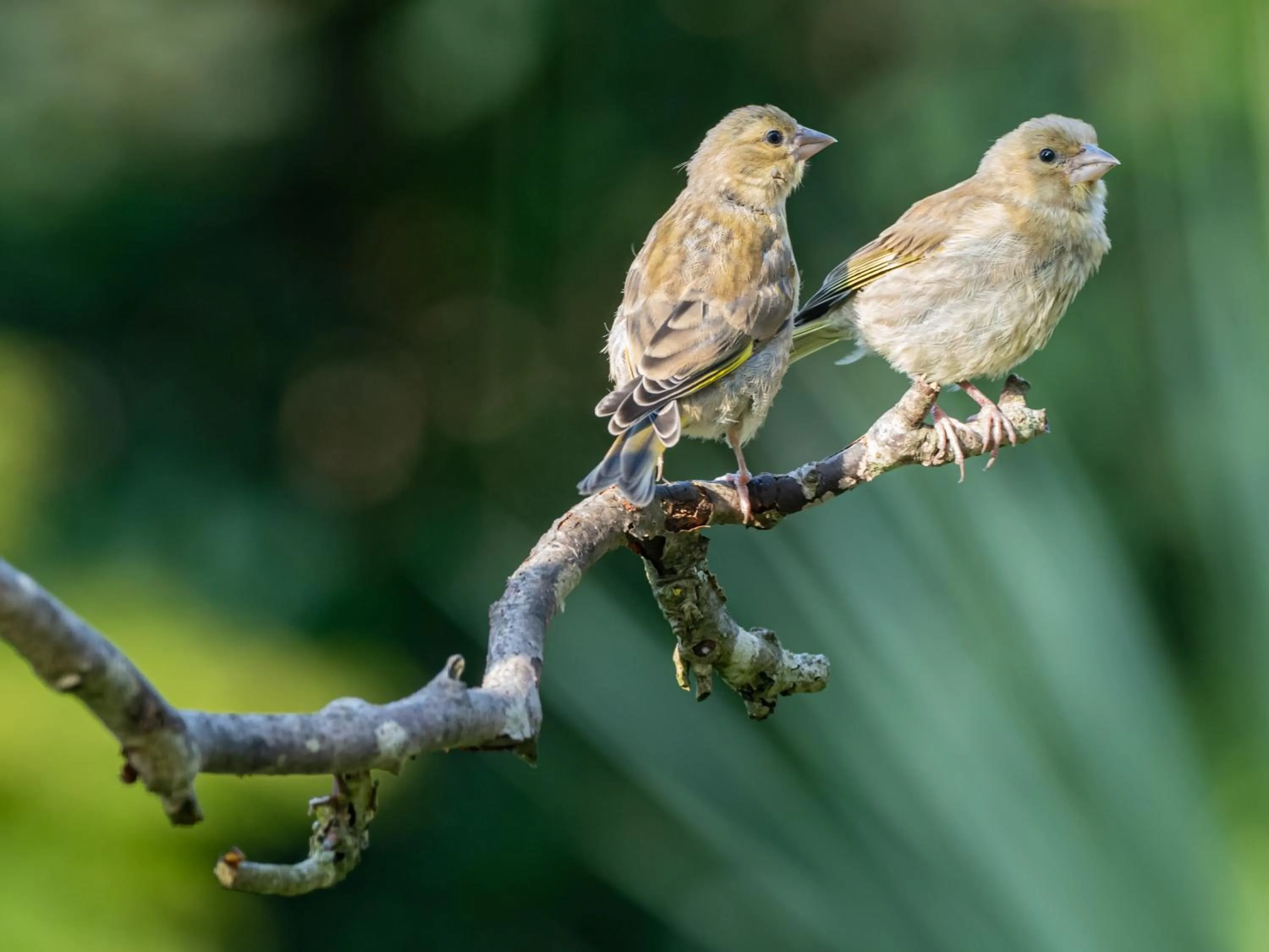 View (from property/room) in Wildwood B&B