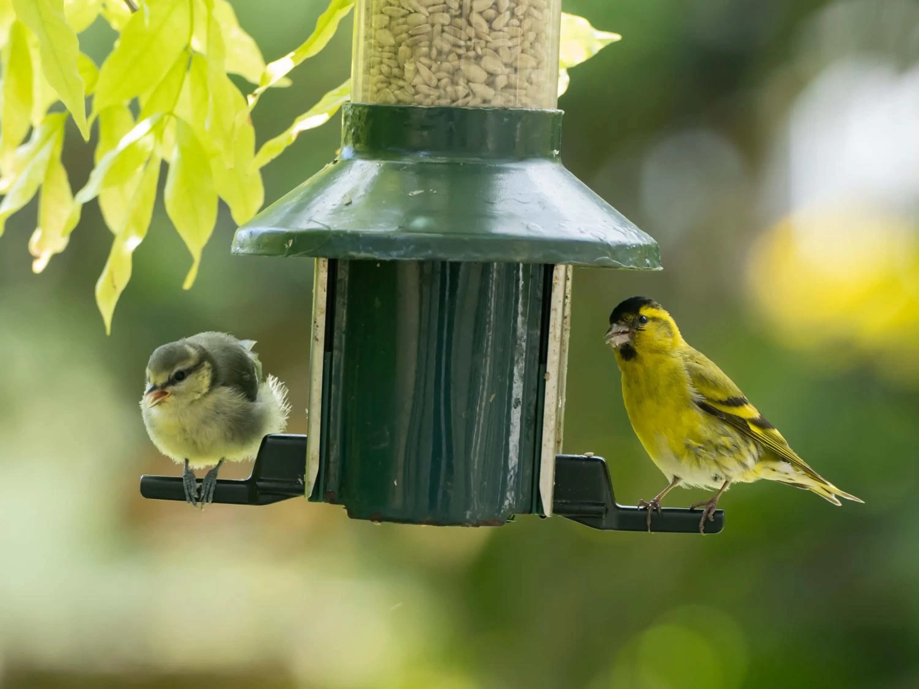 View (from property/room) in Wildwood B&B