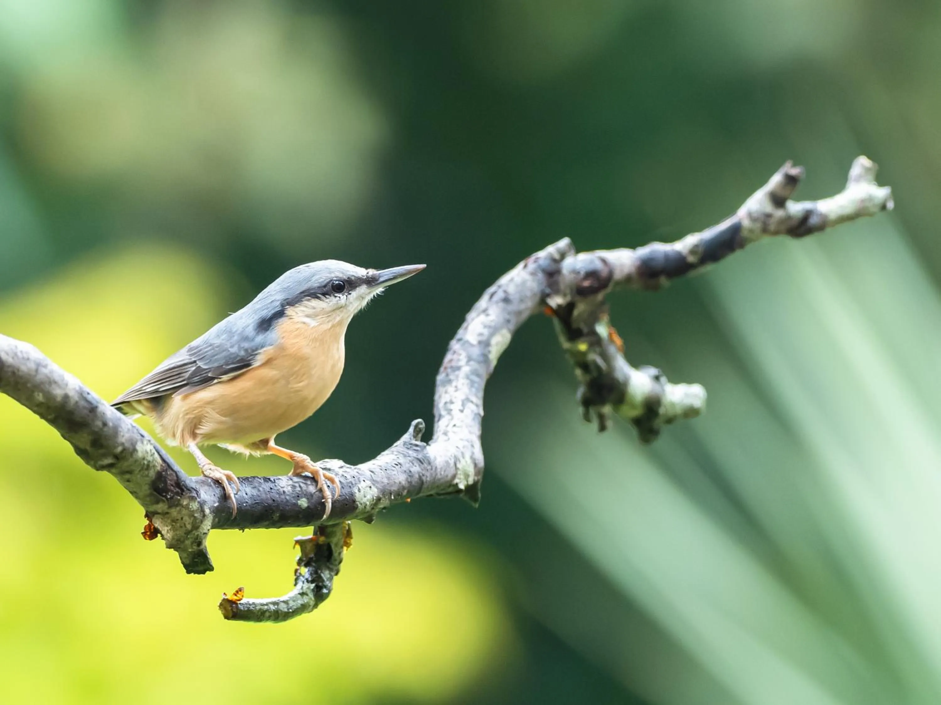 View (from property/room) in Wildwood B&B