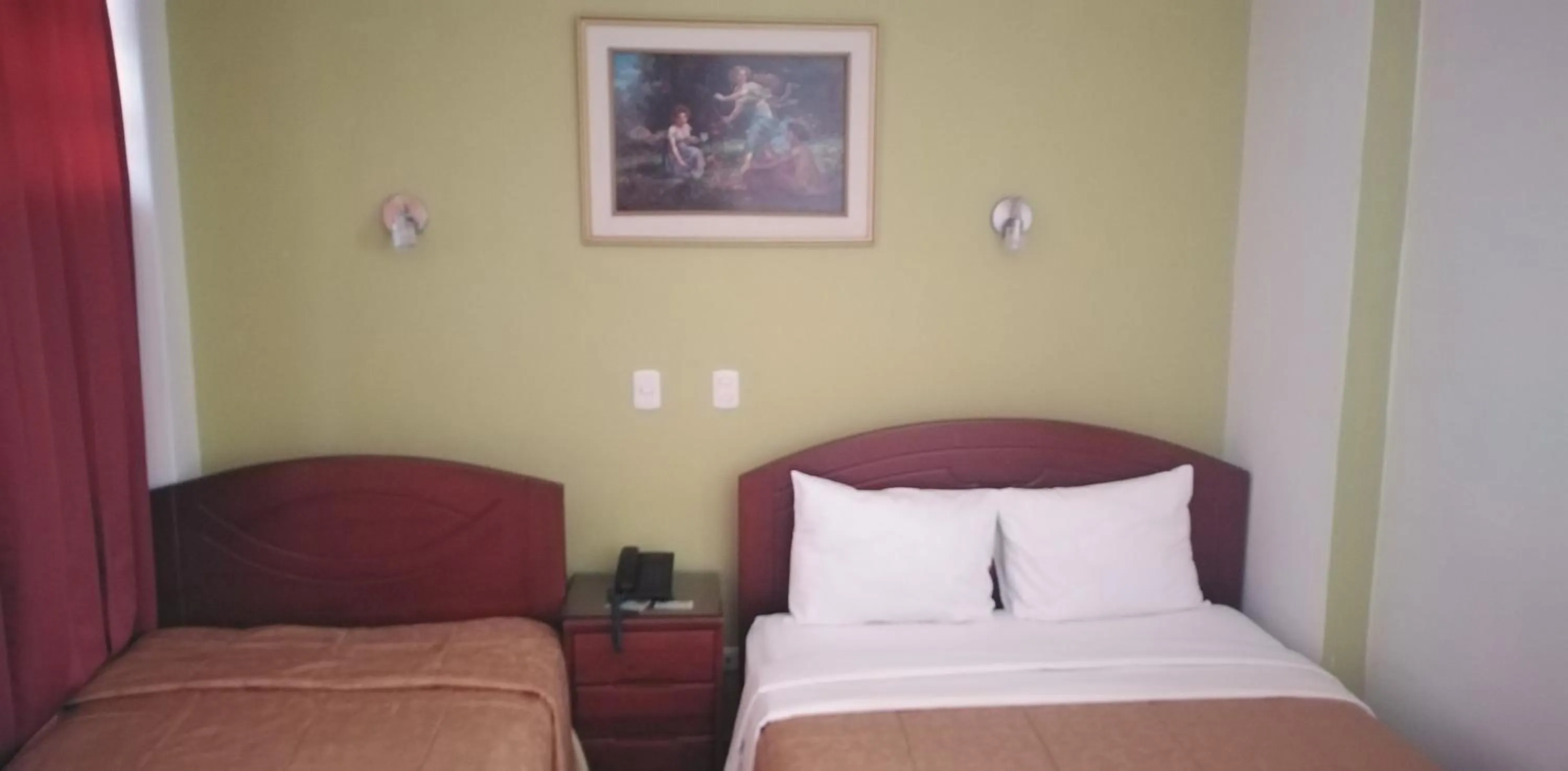 Bed in Hotel Plaza Bolognesi 344