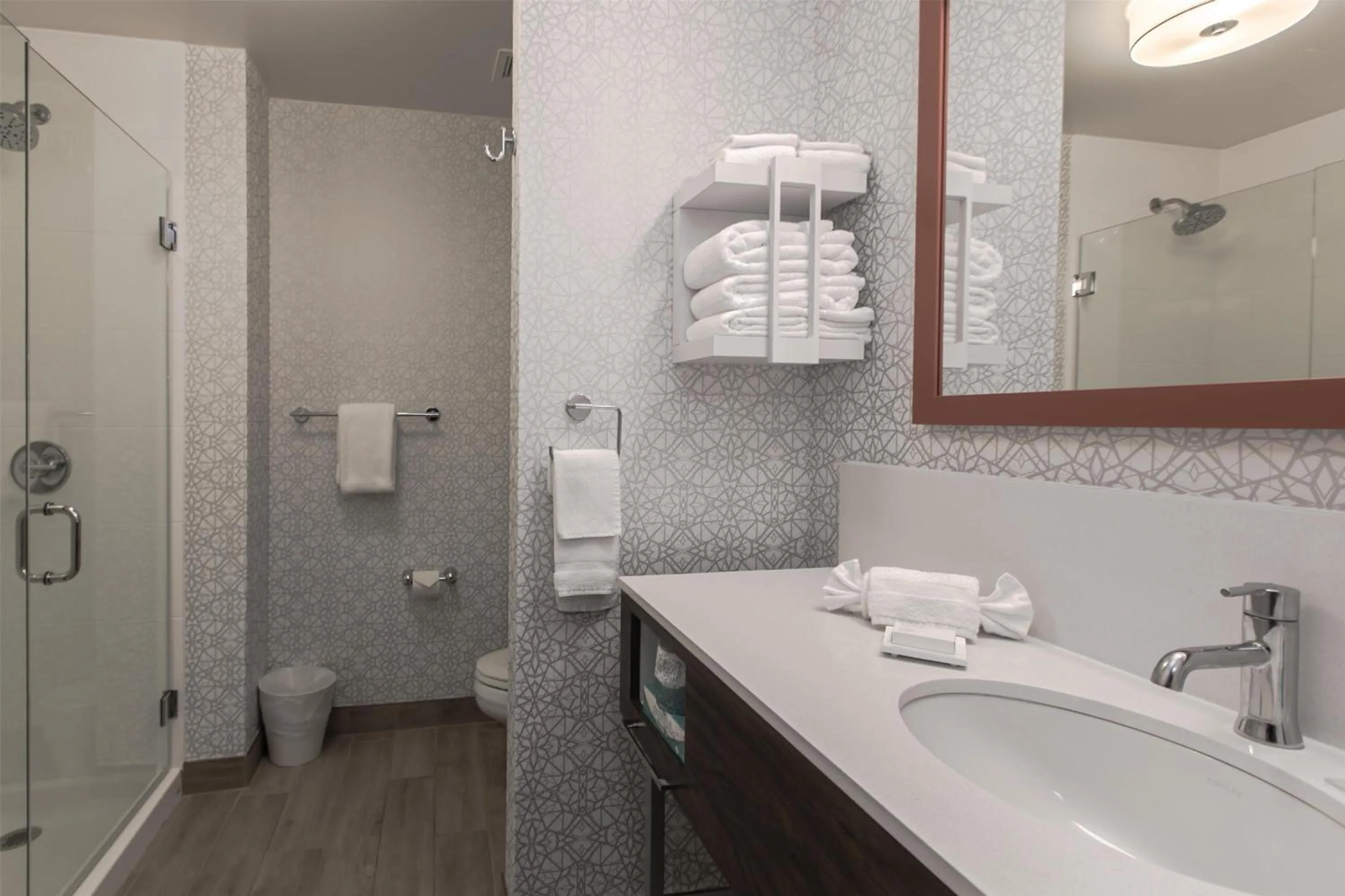 Bathroom in Hampton Inn & Suites Wilder