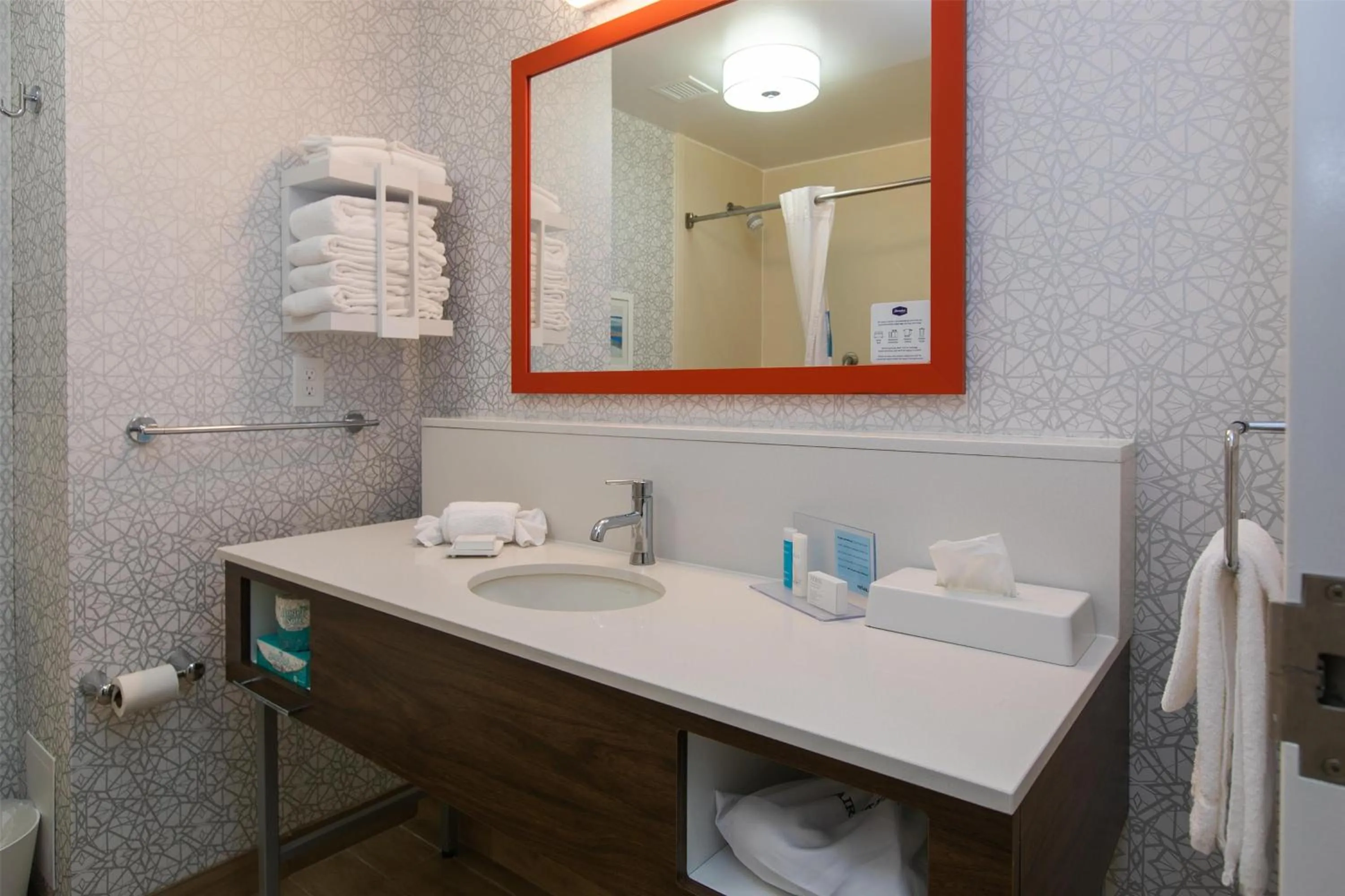 Bathroom in Hampton Inn & Suites Wilder