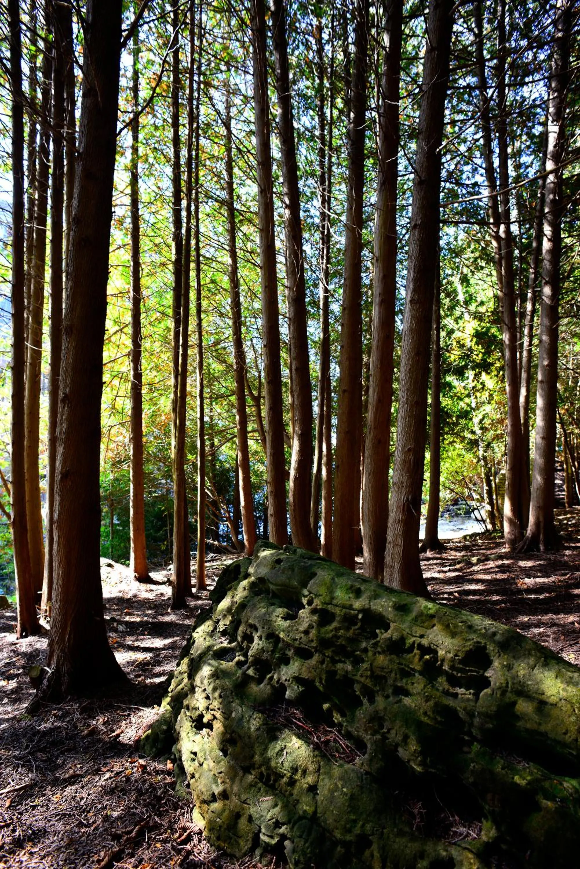 Spring in Millcroft Inn & Spa