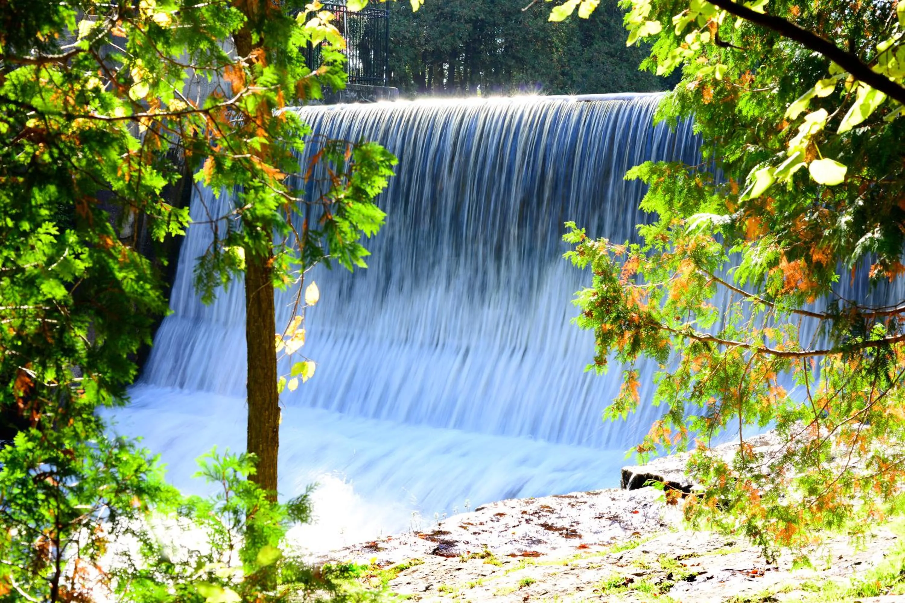 Spring in Millcroft Inn & Spa