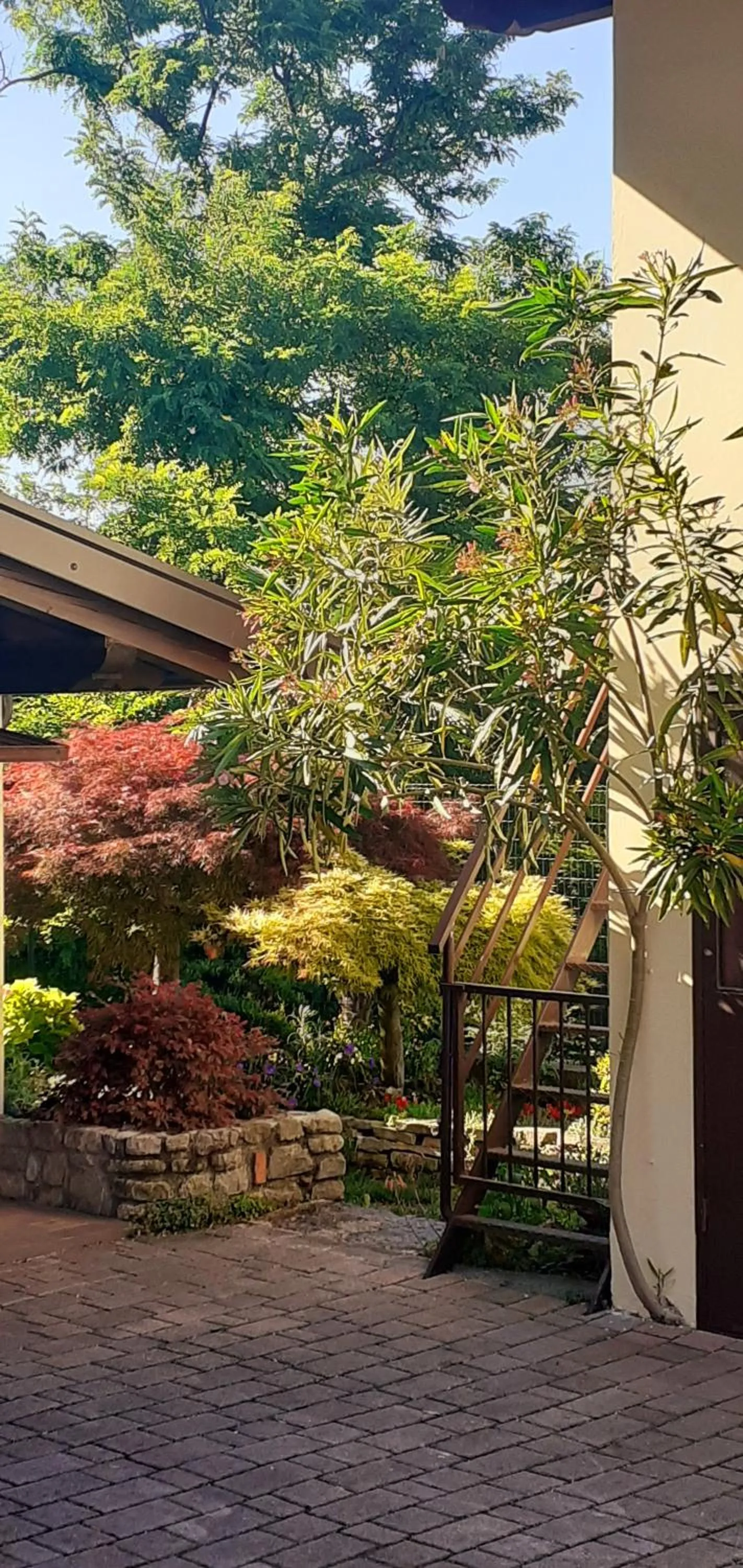 Garden view in B&B Ca di me