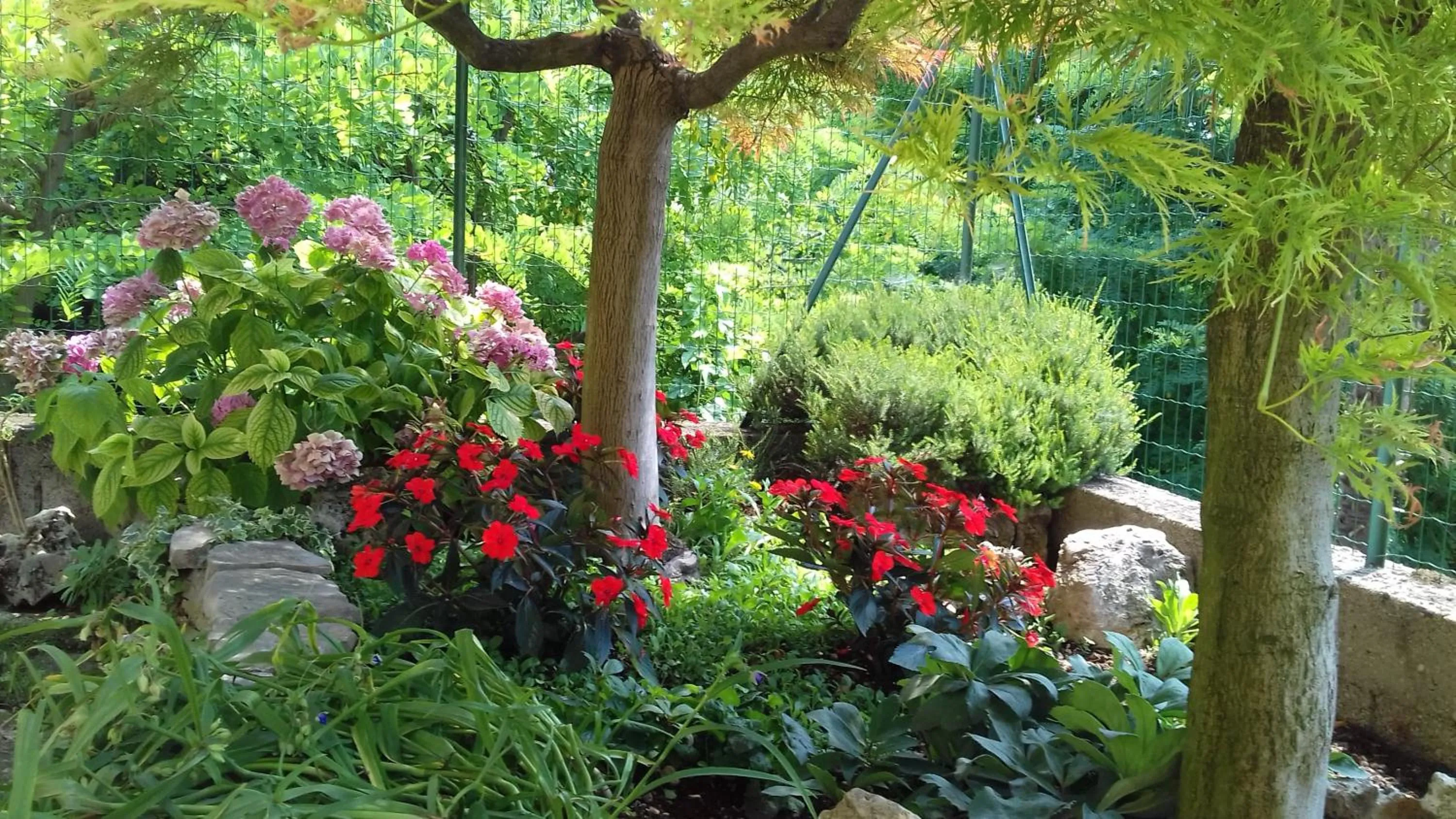 Garden in B&B Ca di me