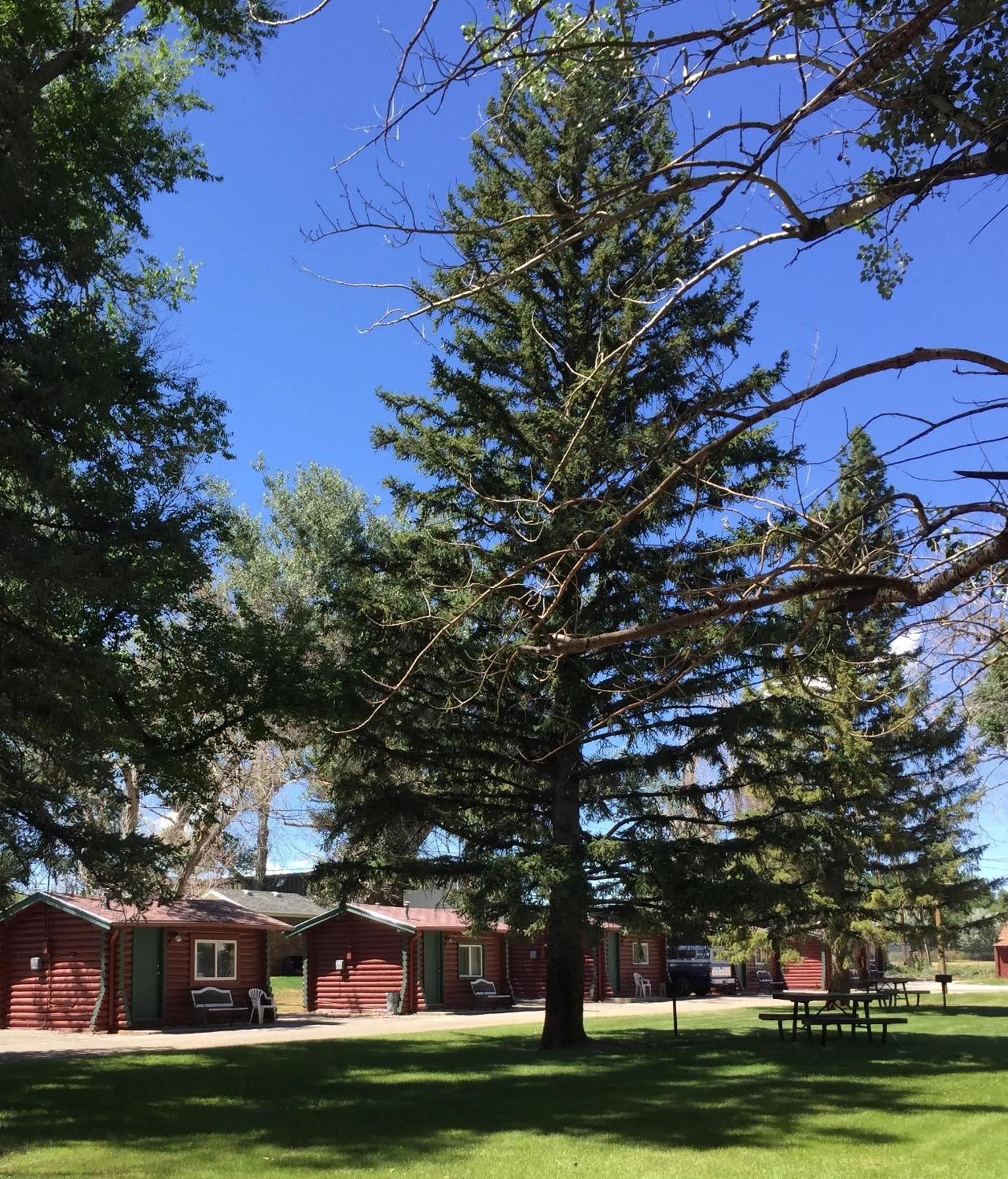 Spa and wellness centre/facilities in Z Bar Motel