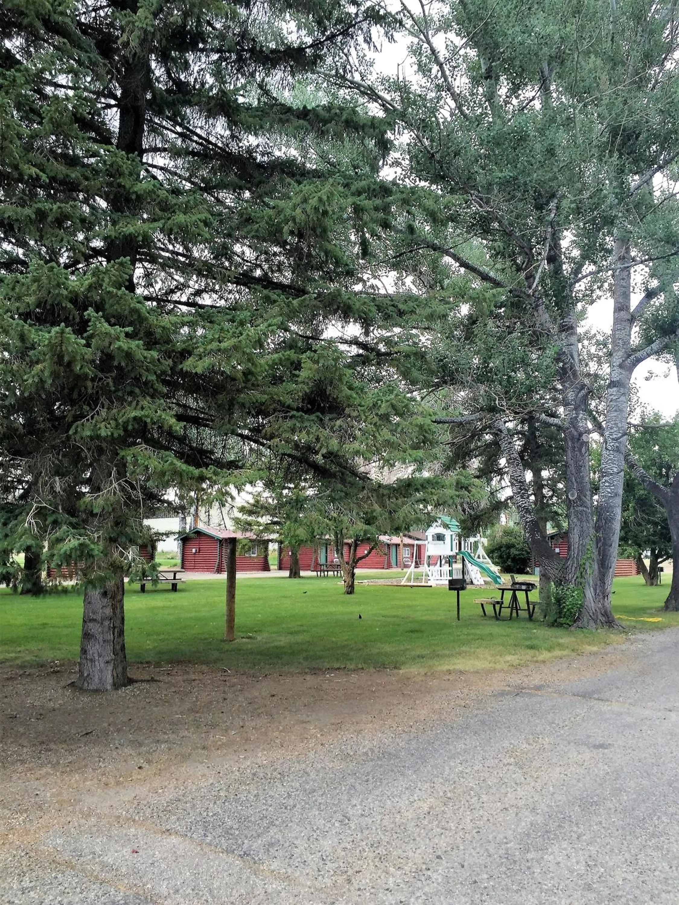 Garden in Z Bar Motel