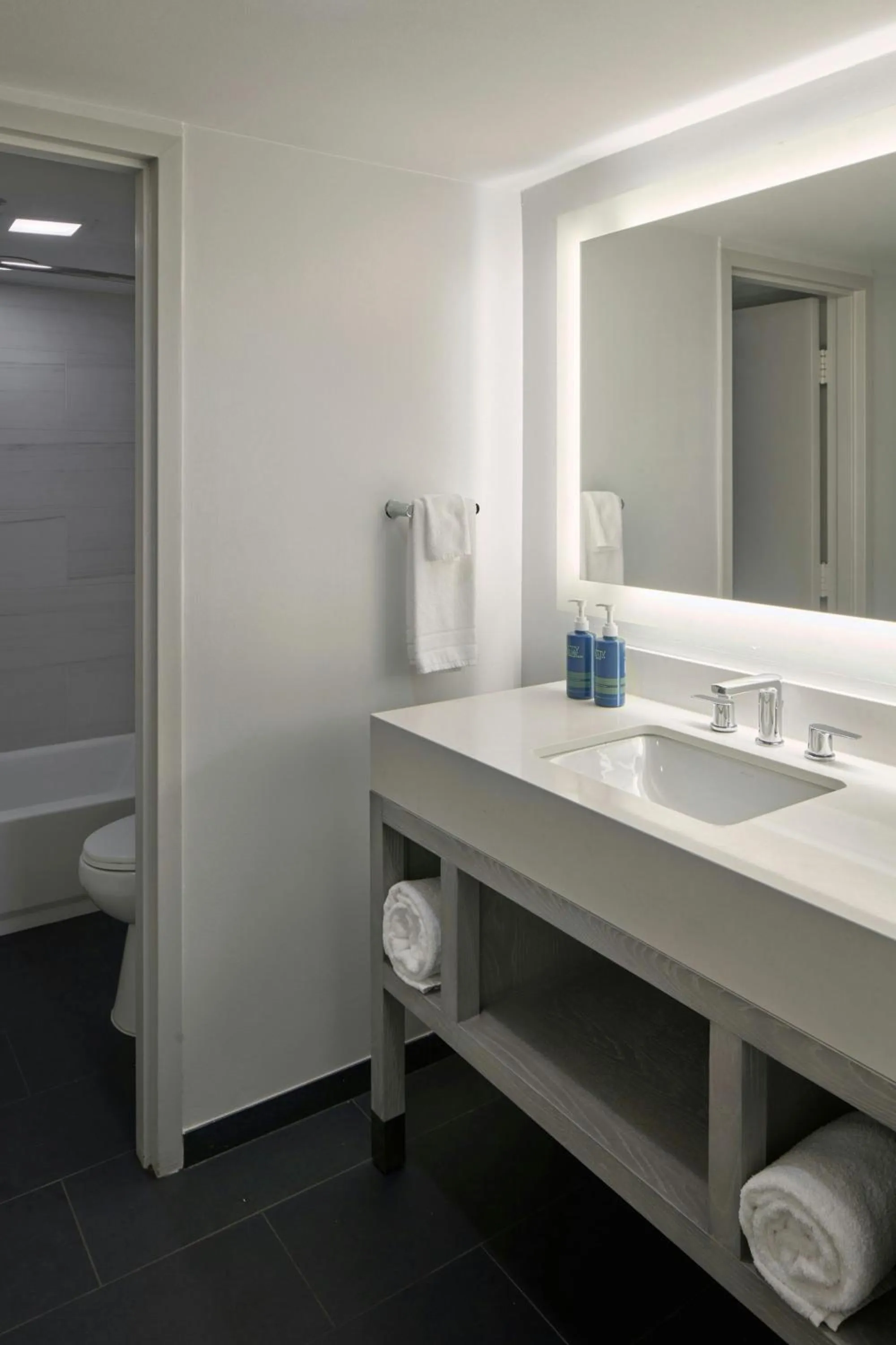 Bathroom in Four Points by Sheraton Richmond Airport