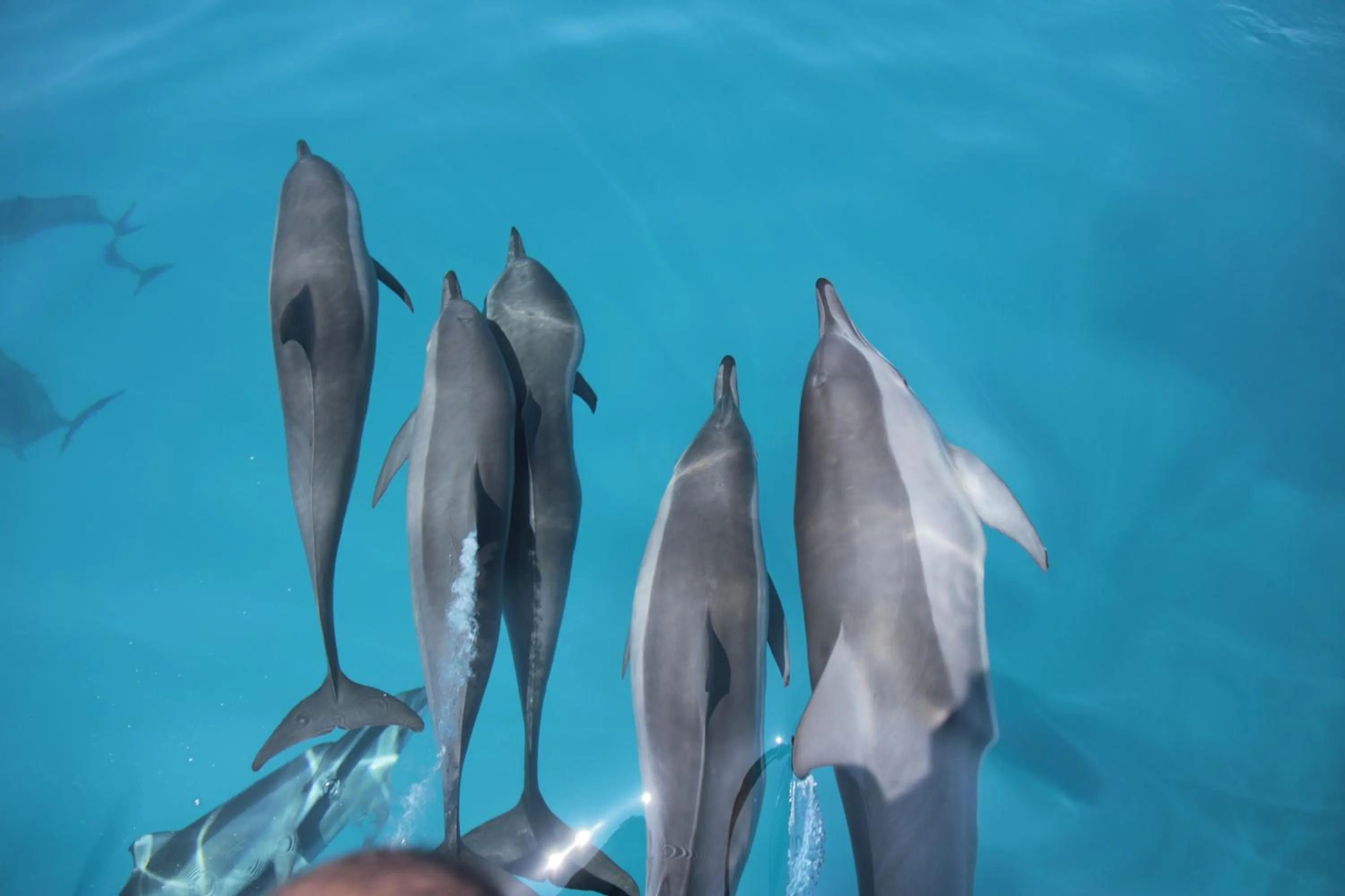 Day in Summer Villa Guest House