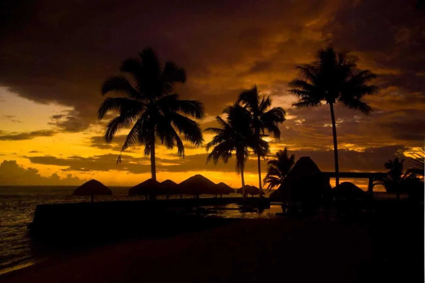 View (from property/room) in Coconuts Beach Club Resort and Spa