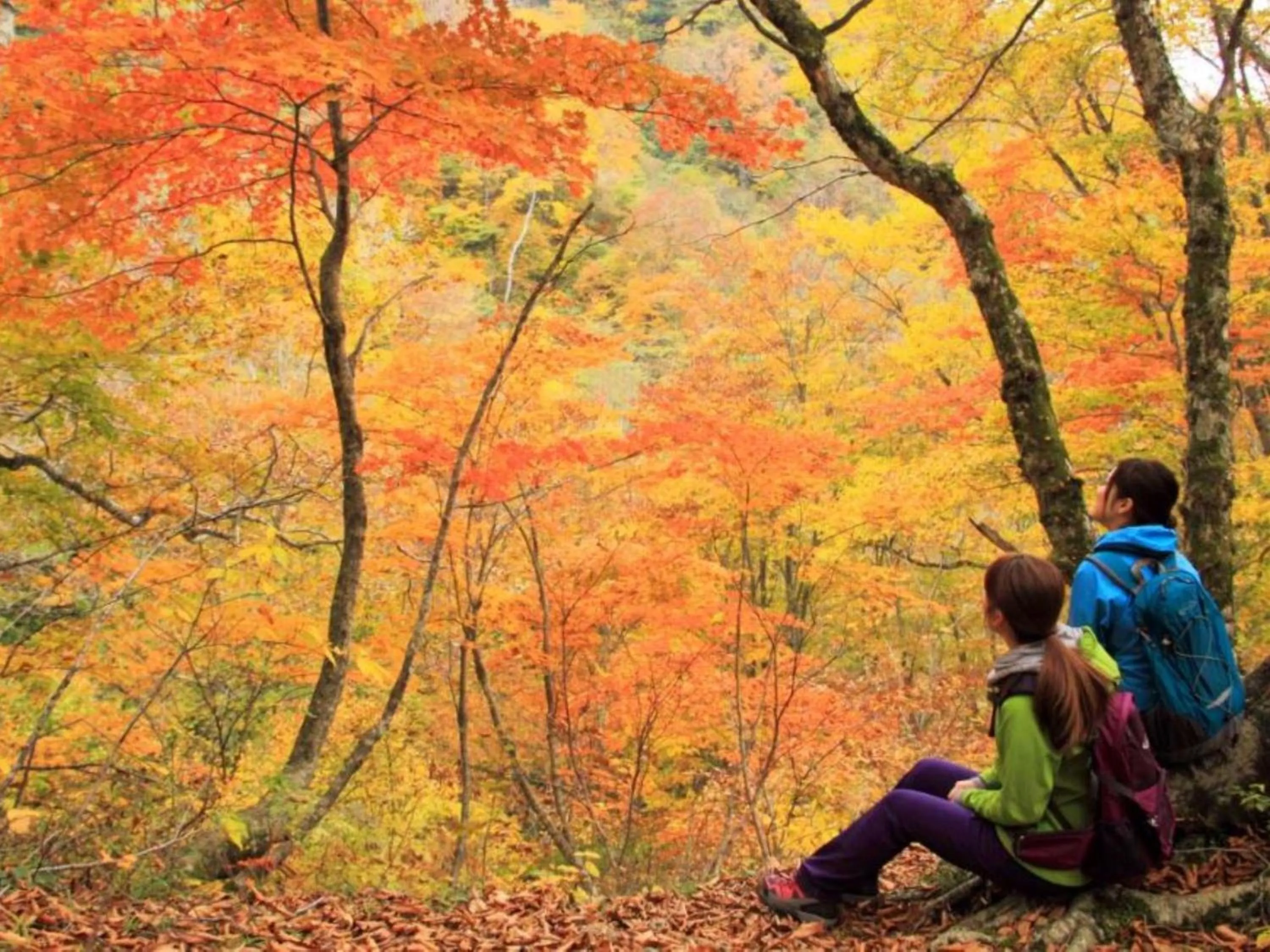 Nearby landmark in Shosenkaku Kagetsu