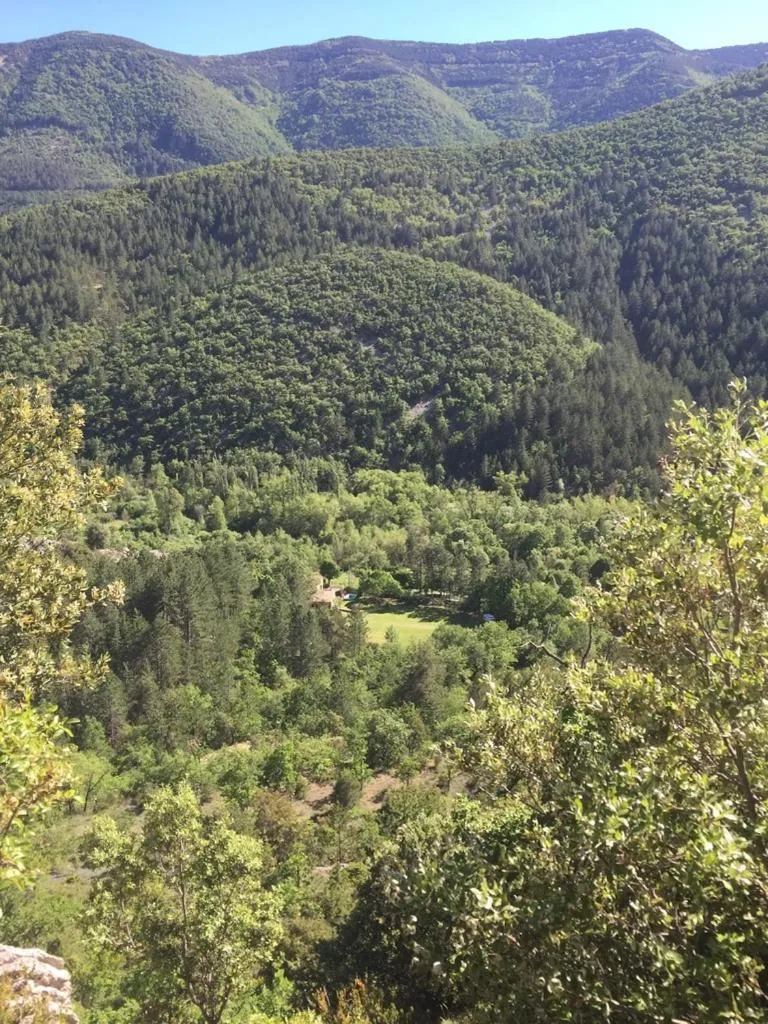 Garden view in Mas de la Pauze