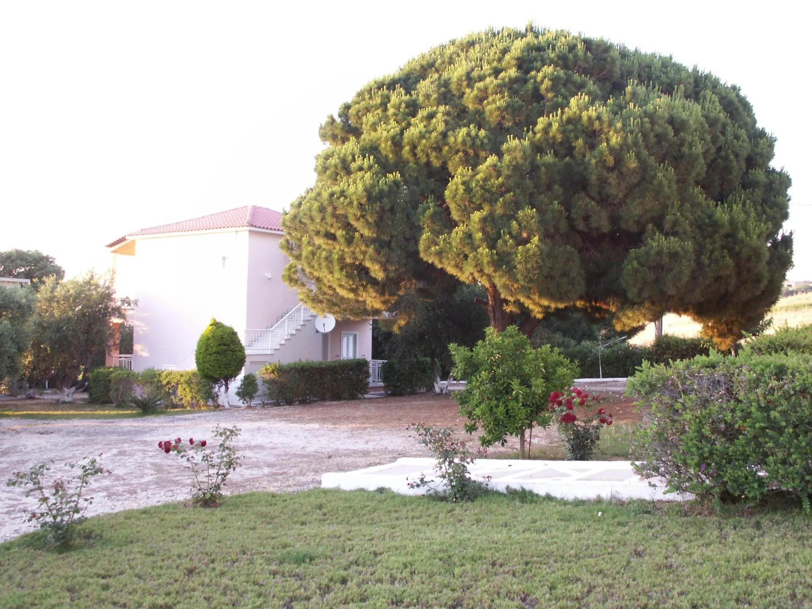 Garden in Kastro Beach Hotel