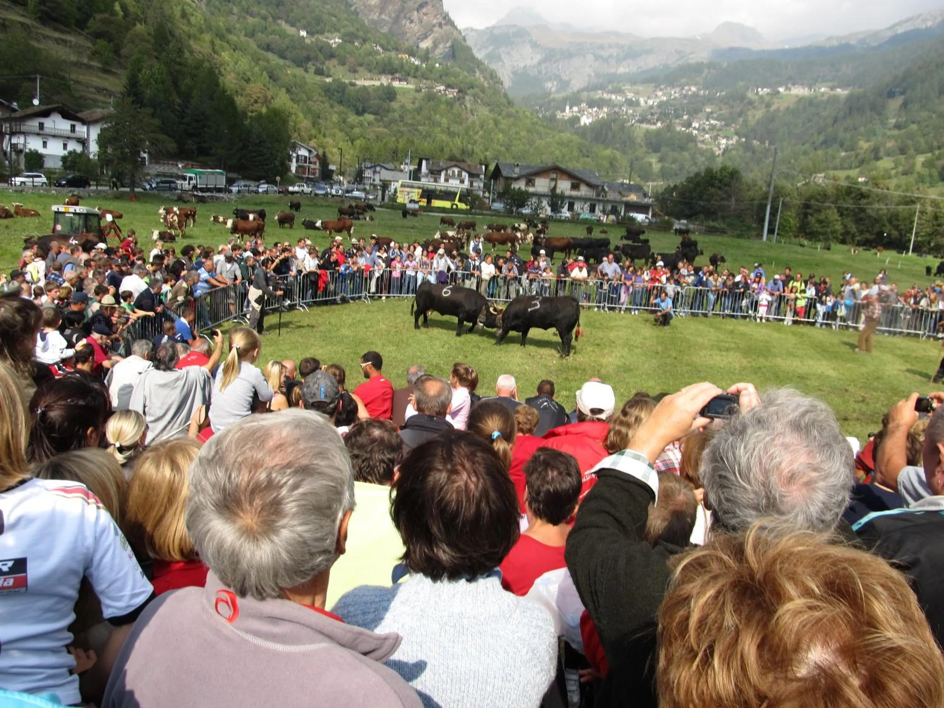 Entertainment in Miramonti