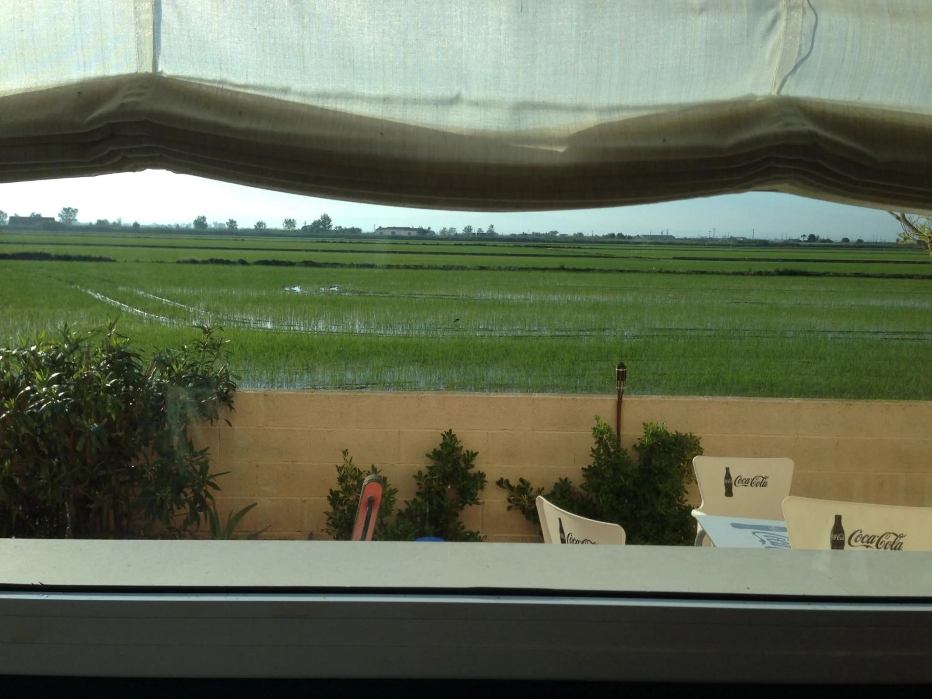 Restaurant/places to eat in Hotel Mediterrani Blau