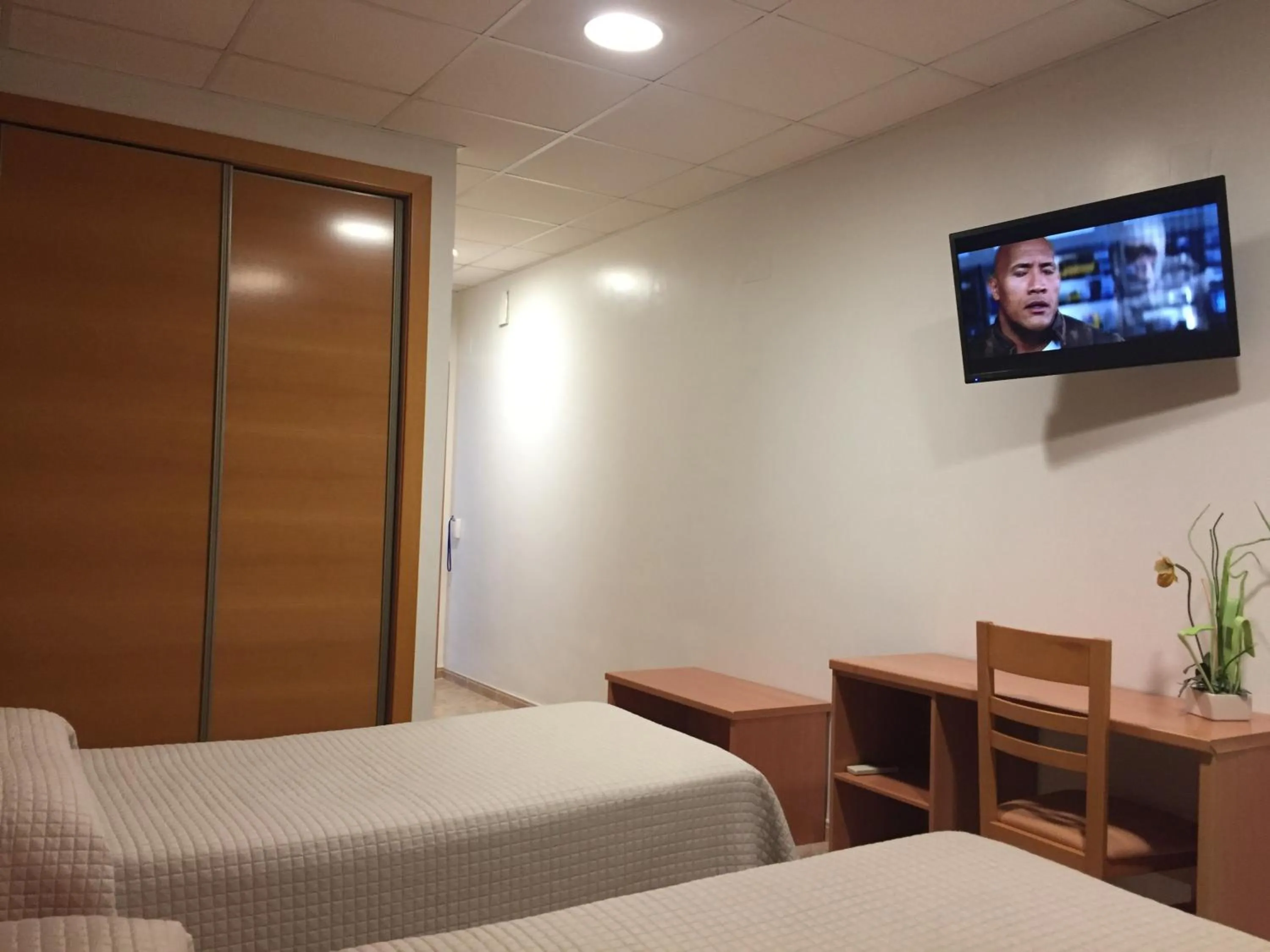 Photo of the whole room in Hotel Mediterrani Blau